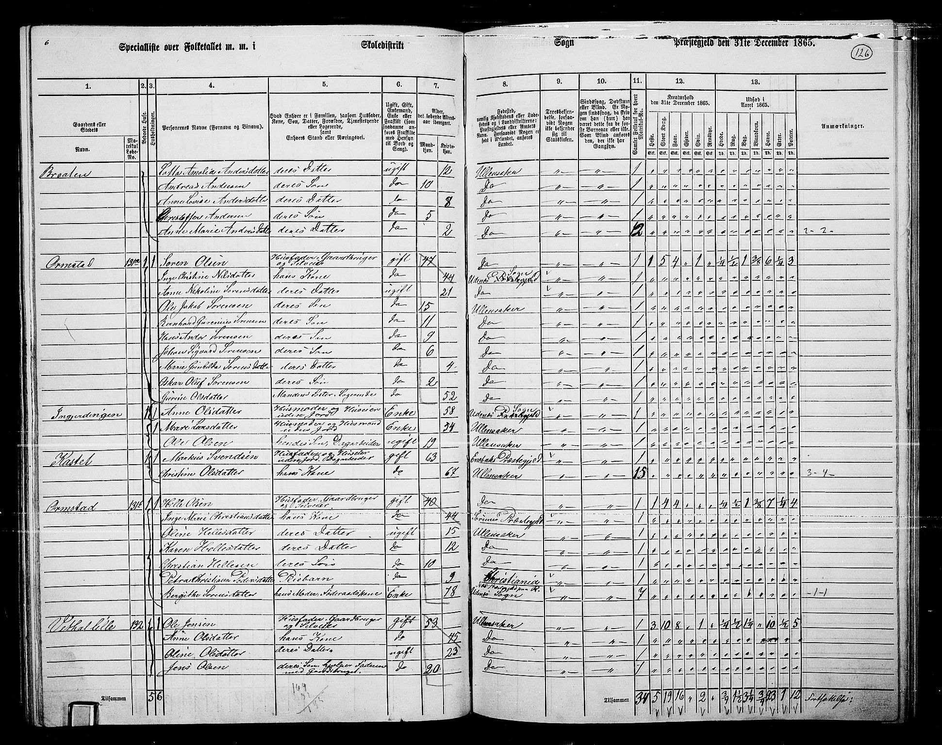 RA, 1865 census for Ullensaker, 1865, p. 110