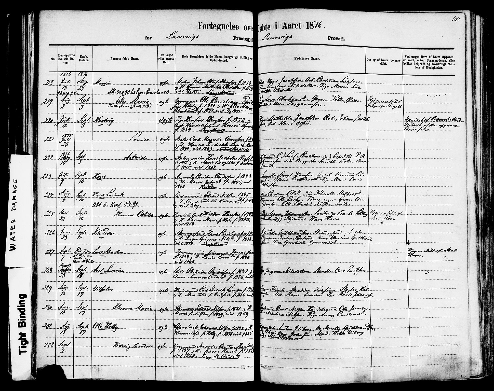 Larvik kirkebøker, AV/SAKO-A-352/F/Fa/L0006: Parish register (official) no. I 6, 1871-1883, p. 107