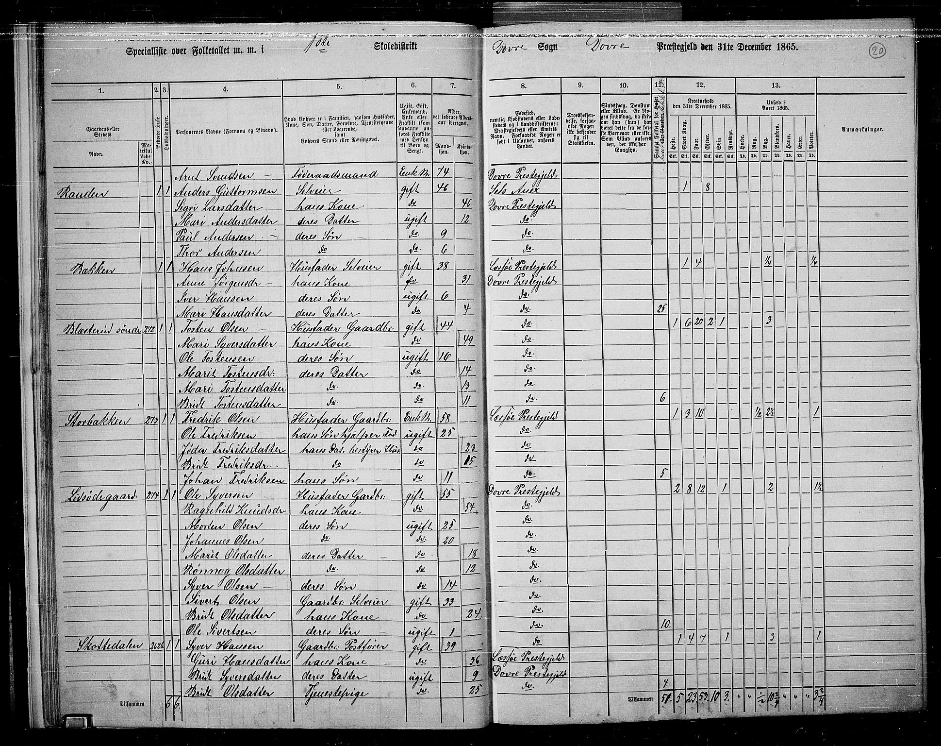 RA, 1865 census for Dovre, 1865, p. 21