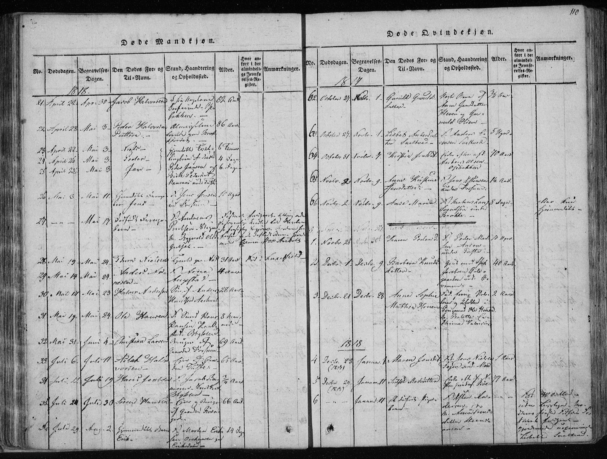 Gjerpen kirkebøker, SAKO/A-265/F/Fa/L0004: Parish register (official) no. I 4, 1814-1823, p. 110