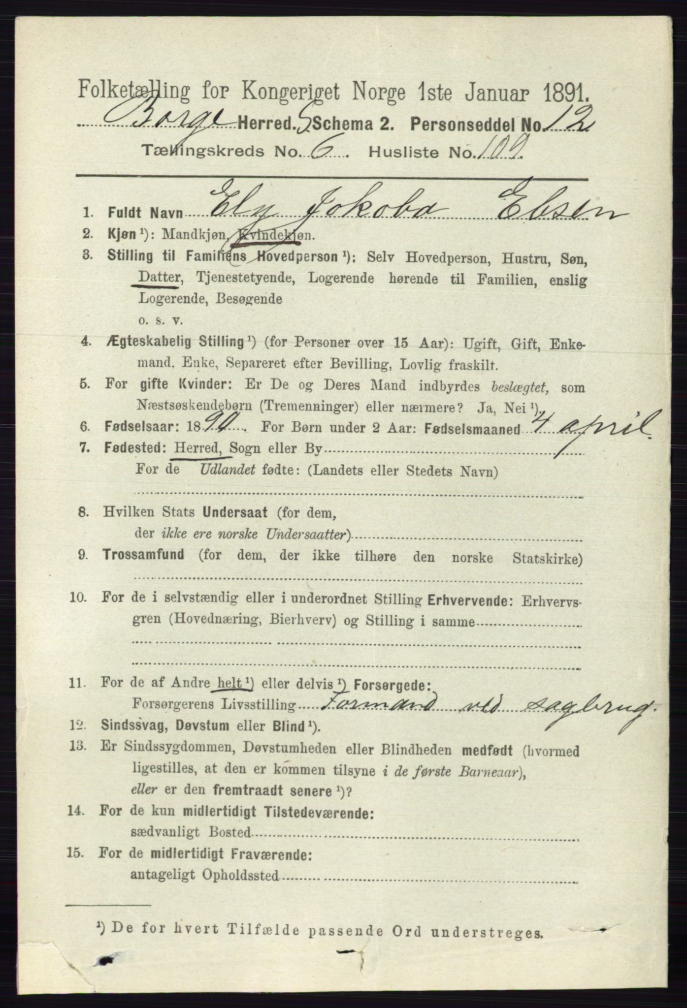 RA, 1891 census for 0113 Borge, 1891, p. 3884