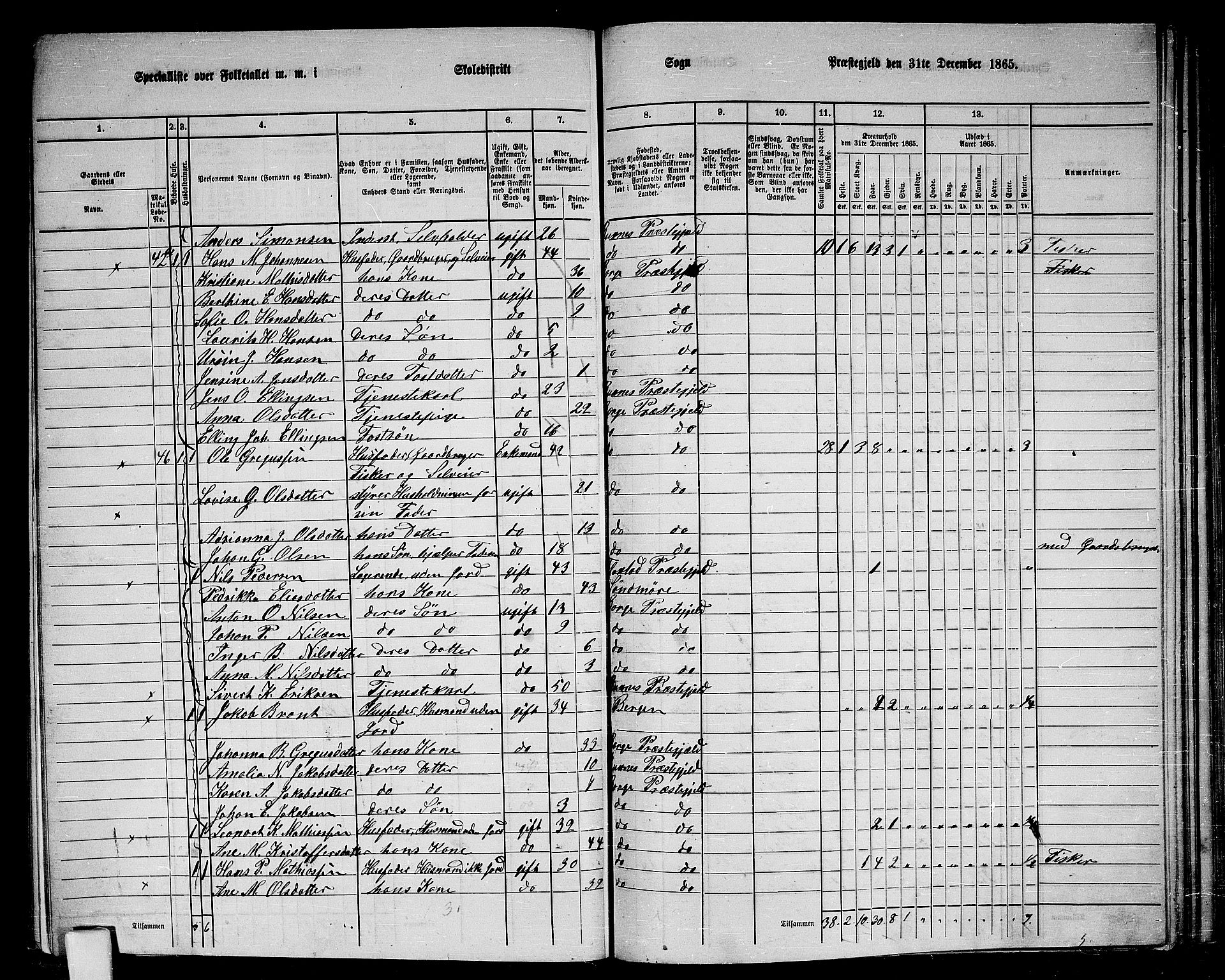 RA, 1865 census for Borge, 1865, p. 45