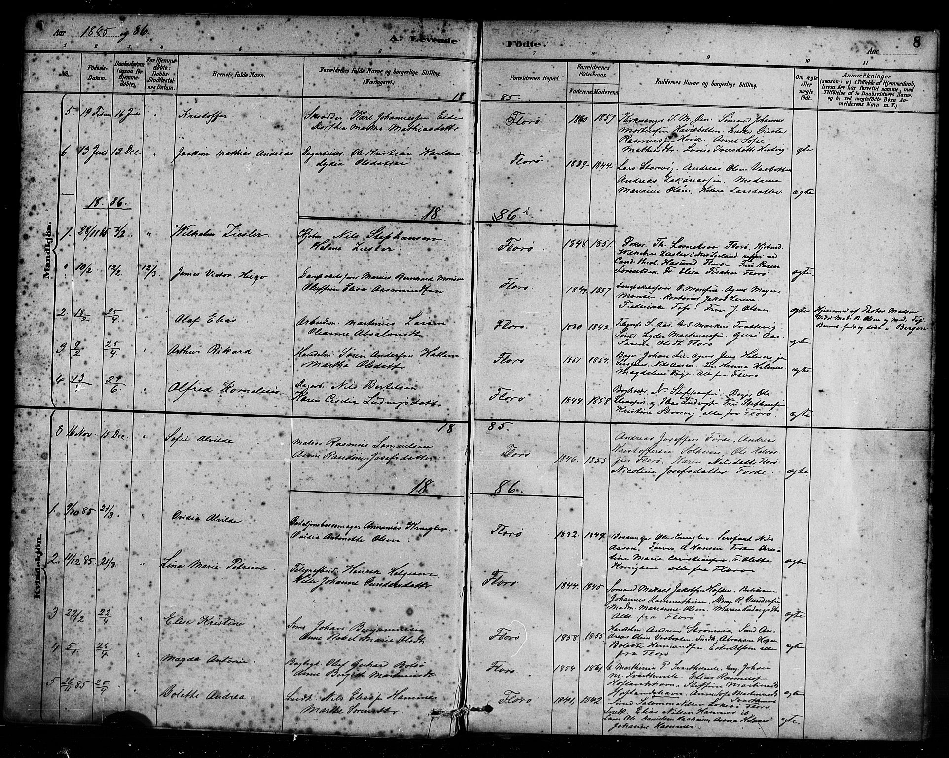 Kinn sokneprestembete, AV/SAB-A-80801/H/Haa/Haac/L0001: Parish register (official) no. C 1, 1883-1894, p. 8