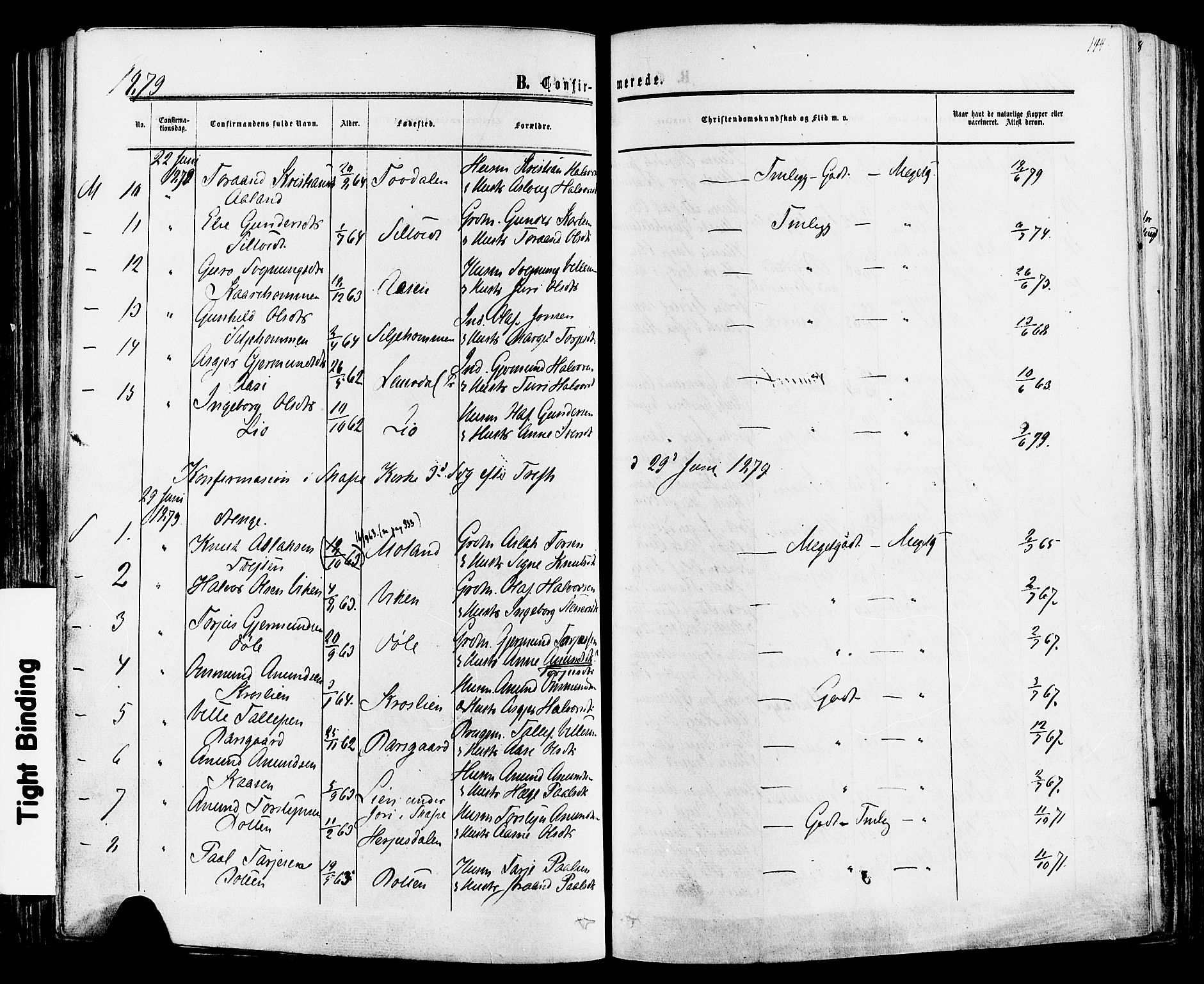 Mo kirkebøker, SAKO/A-286/F/Fa/L0006: Parish register (official) no. I 6, 1865-1885, p. 144