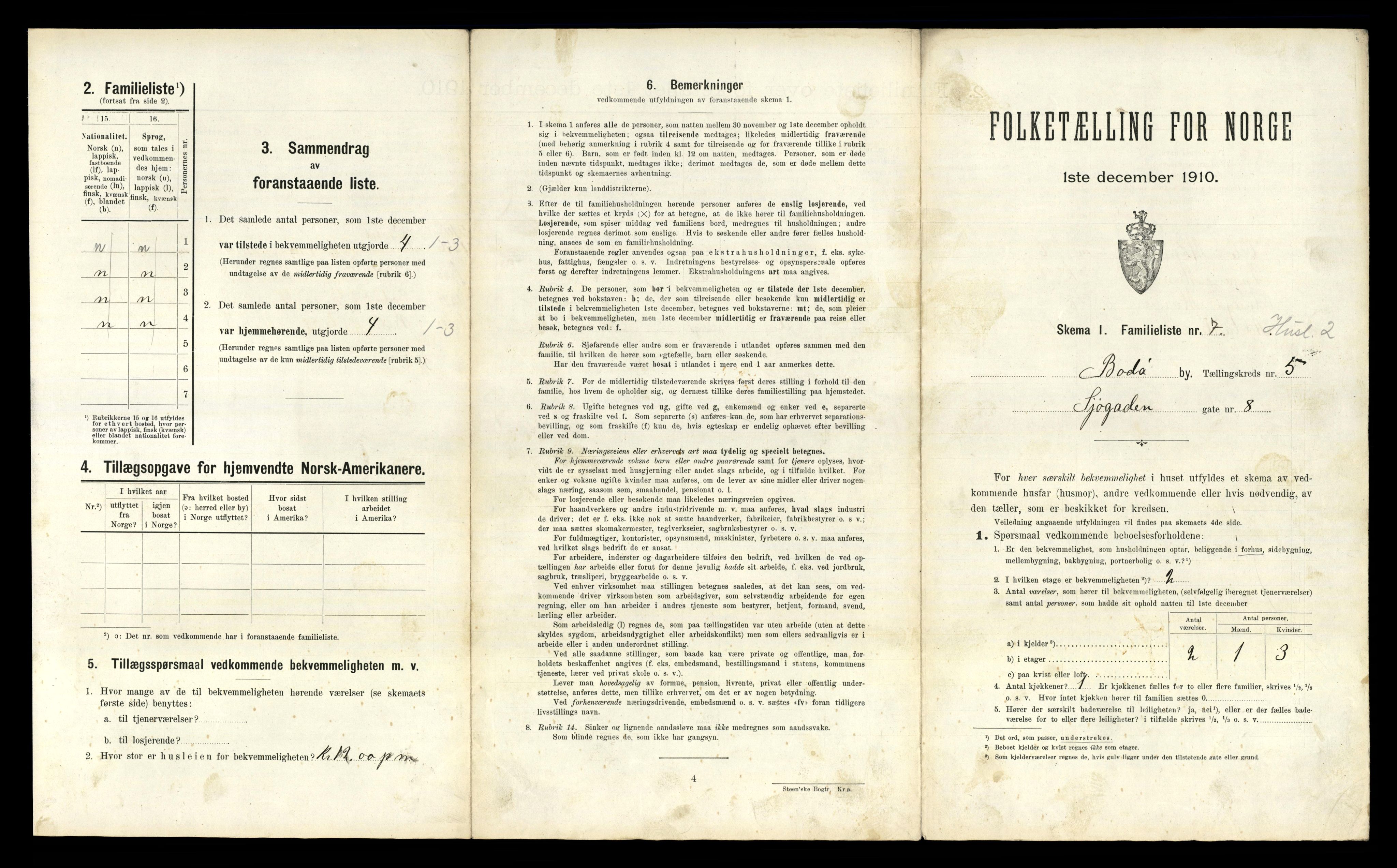 RA, 1910 census for Bodø, 1910, p. 1315