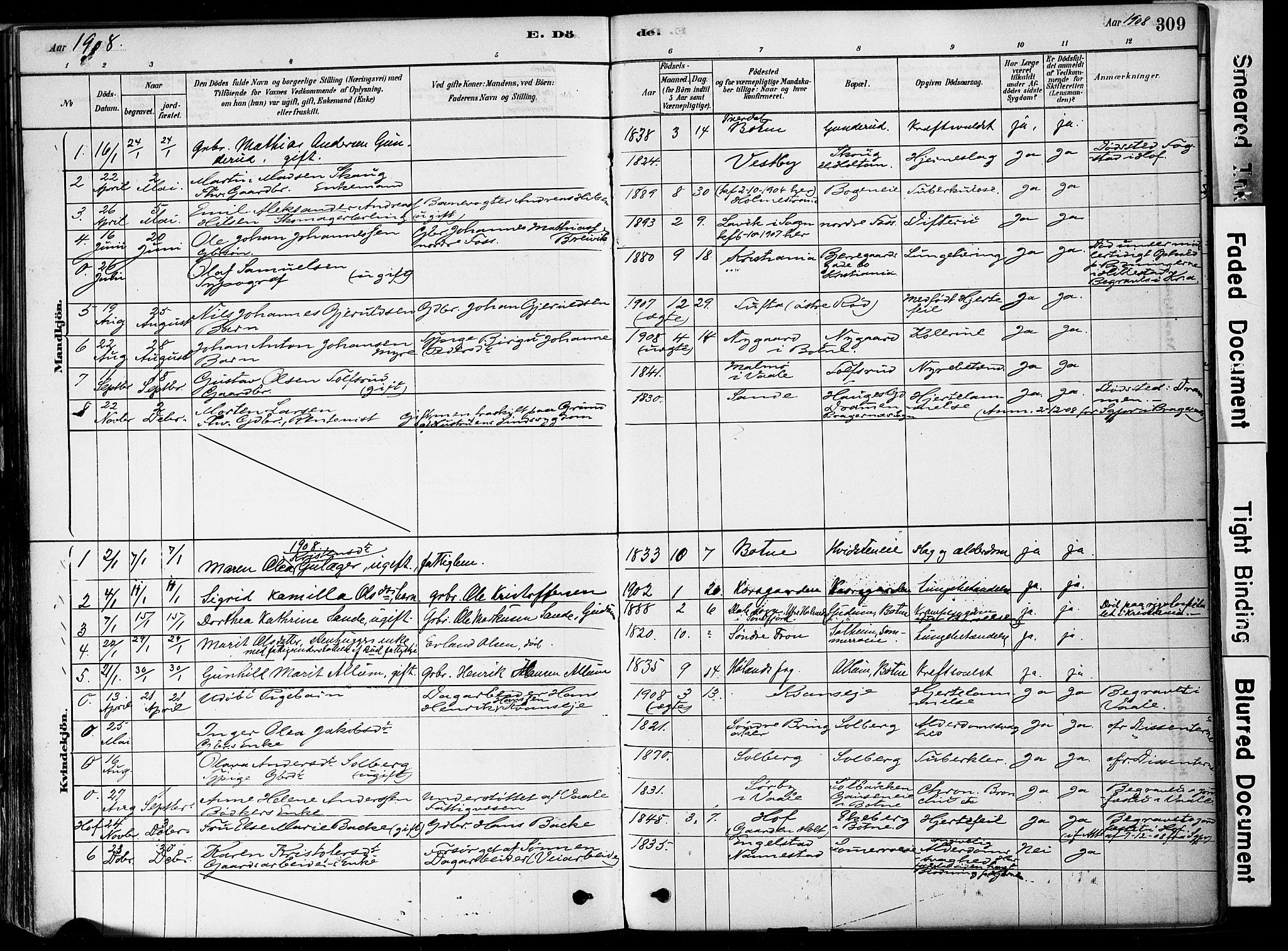 Botne kirkebøker, SAKO/A-340/F/Fa/L0007: Parish register (official) no. I 7, 1878-1910, p. 309