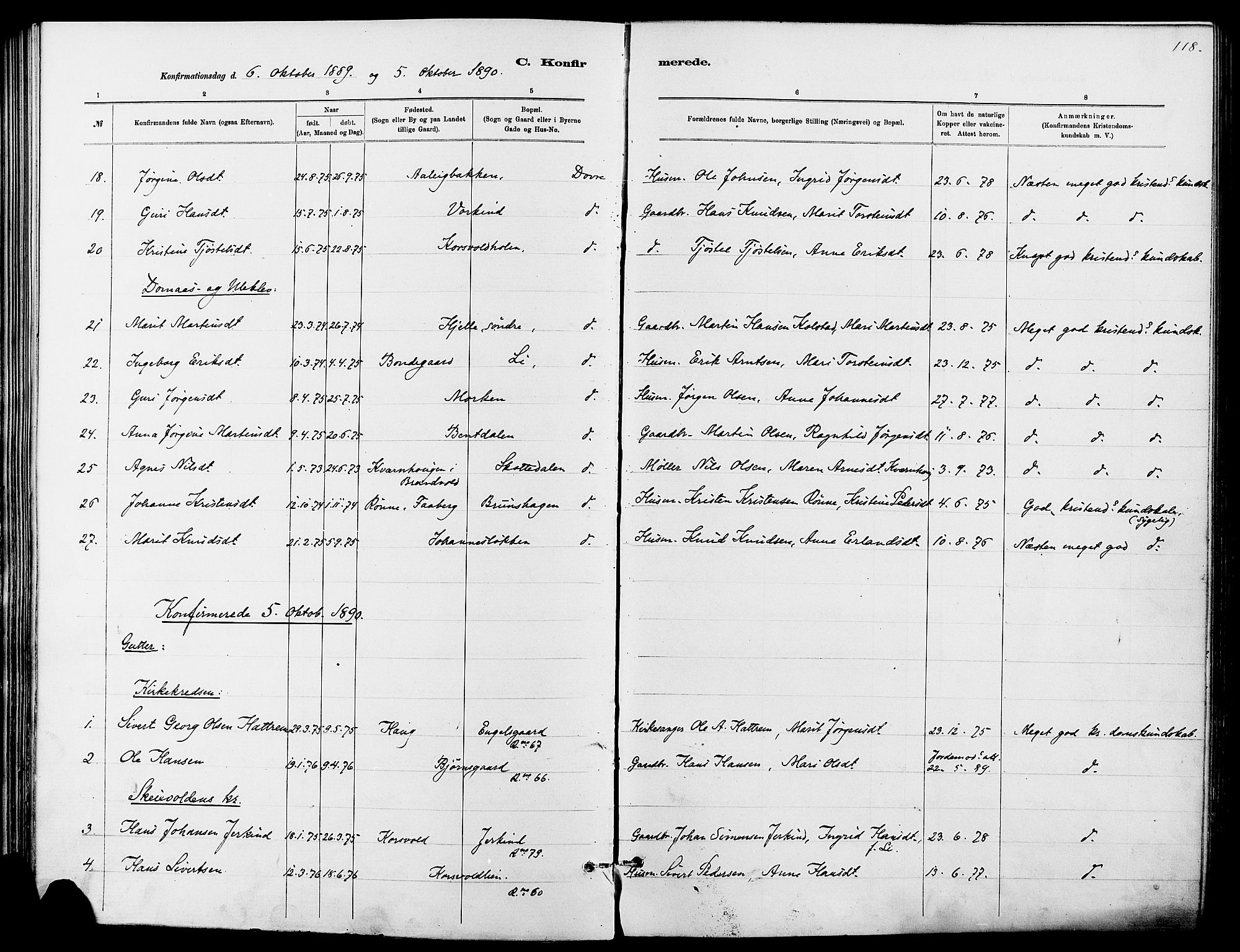 Dovre prestekontor, SAH/PREST-066/H/Ha/Haa/L0002: Parish register (official) no. 2, 1879-1890, p. 118