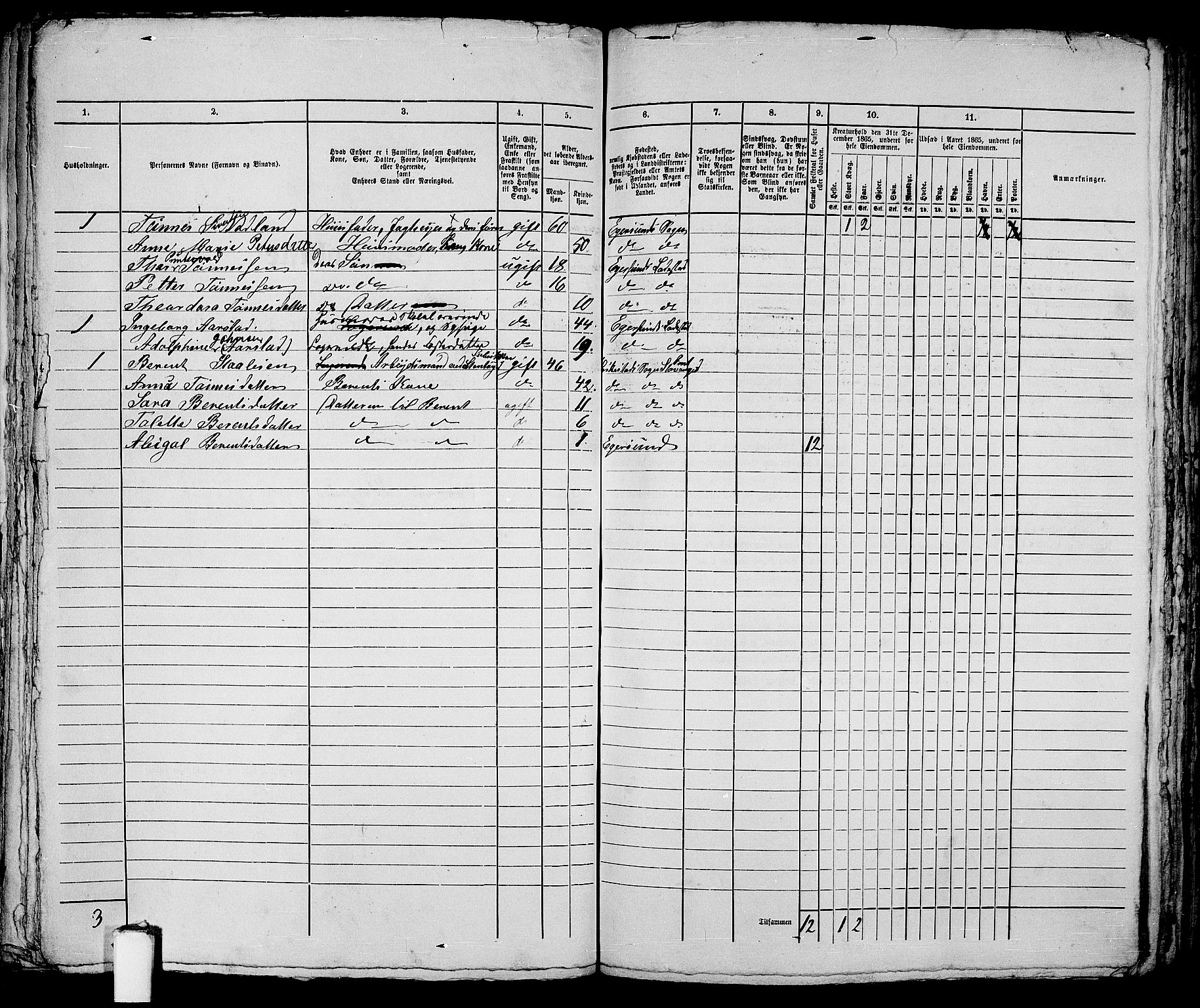 RA, 1865 census for Eigersund parish, Egersund town, 1865, p. 329