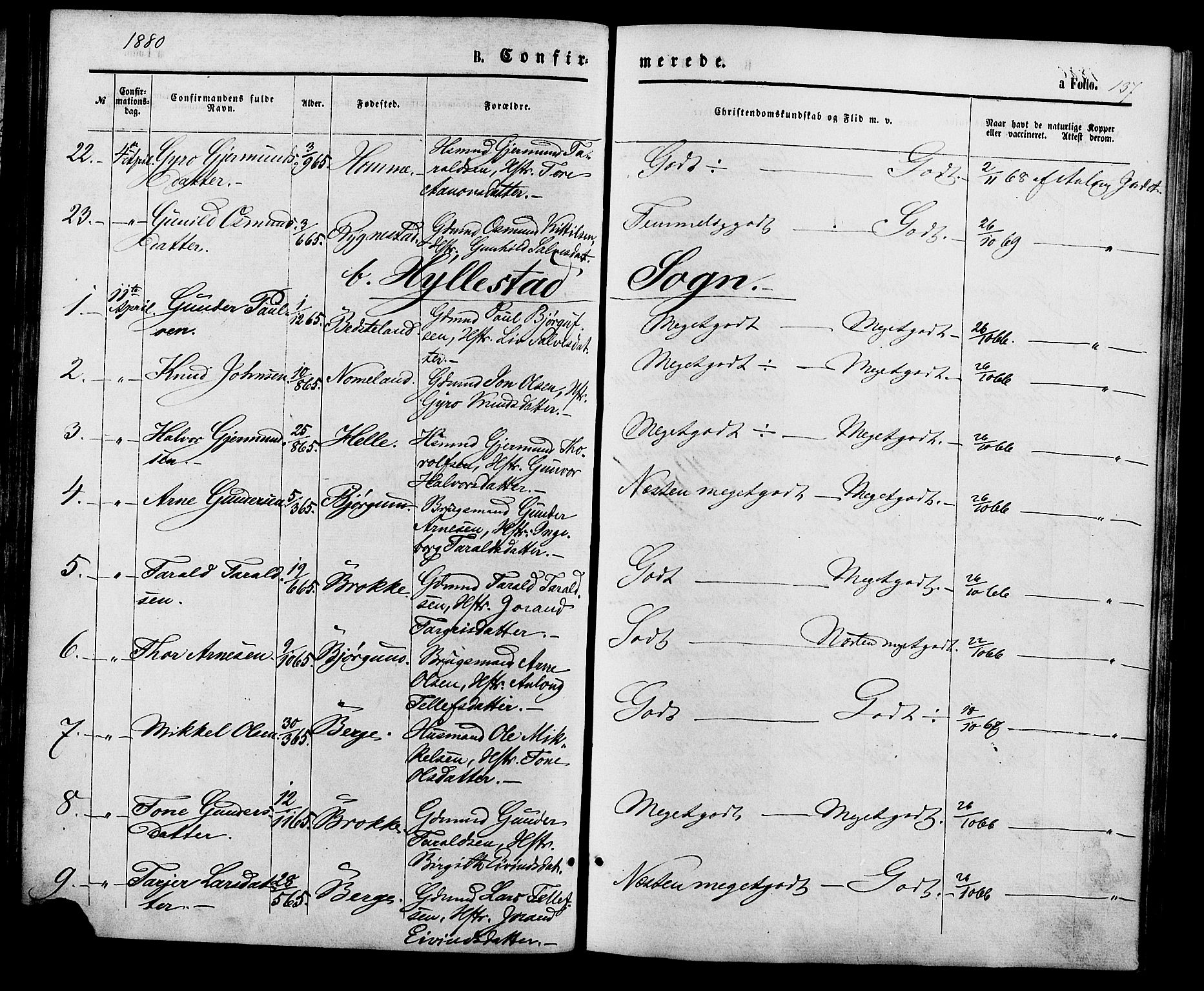 Valle sokneprestkontor, AV/SAK-1111-0044/F/Fa/Fac/L0008: Parish register (official) no. A 8, 1868-1882, p. 137