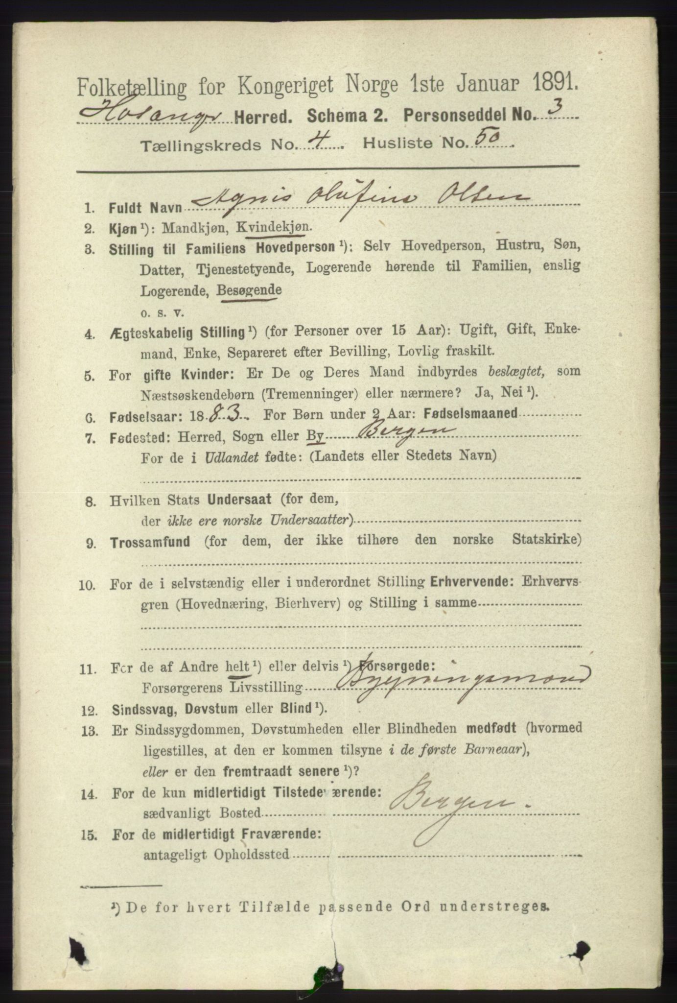 RA, 1891 census for 1253 Hosanger, 1891, p. 1738