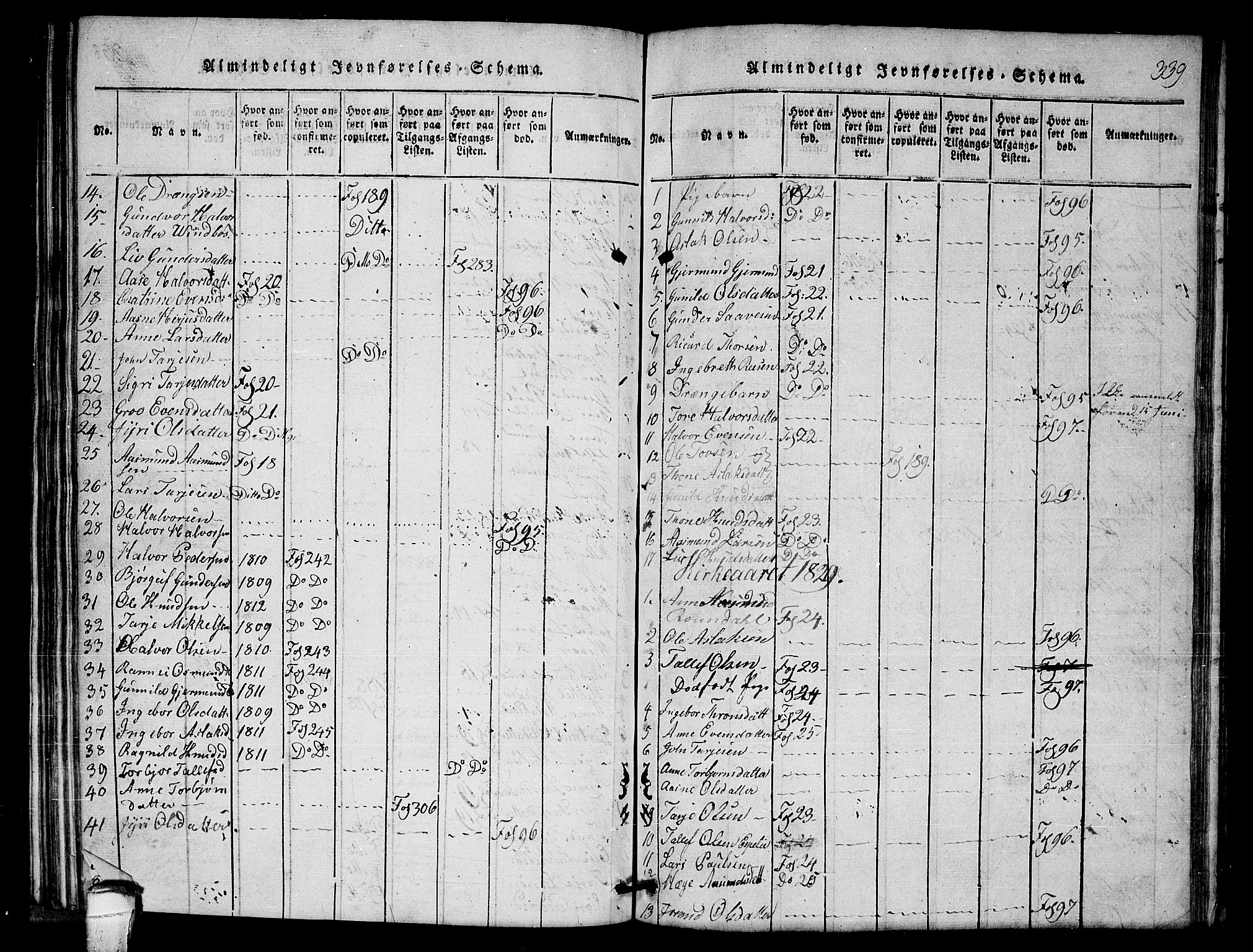 Lårdal kirkebøker, SAKO/A-284/G/Gb/L0001: Parish register (copy) no. II 1, 1815-1865, p. 339