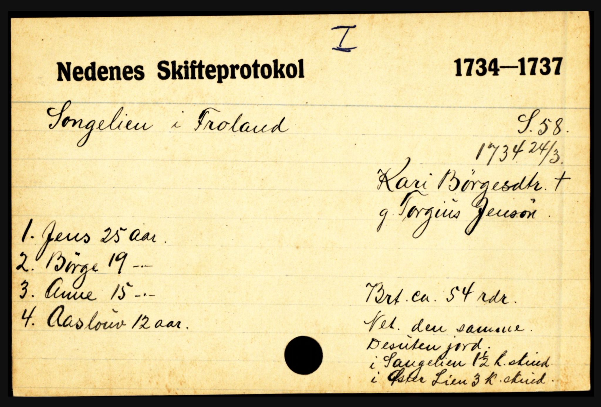 Nedenes sorenskriveri før 1824, AV/SAK-1221-0007/H, p. 27903