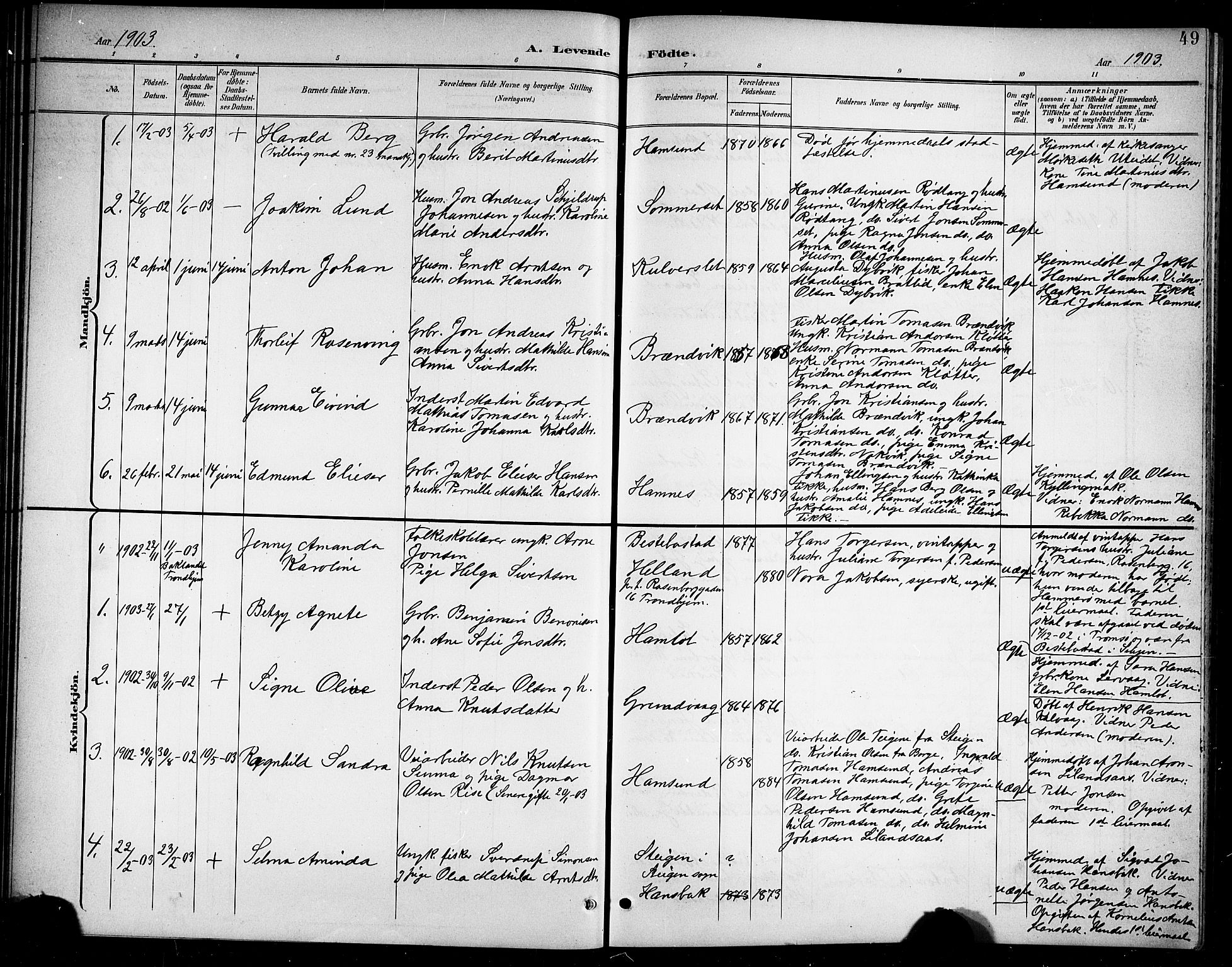 Ministerialprotokoller, klokkerbøker og fødselsregistre - Nordland, SAT/A-1459/859/L0860: Parish register (copy) no. 859C06, 1899-1909, p. 49