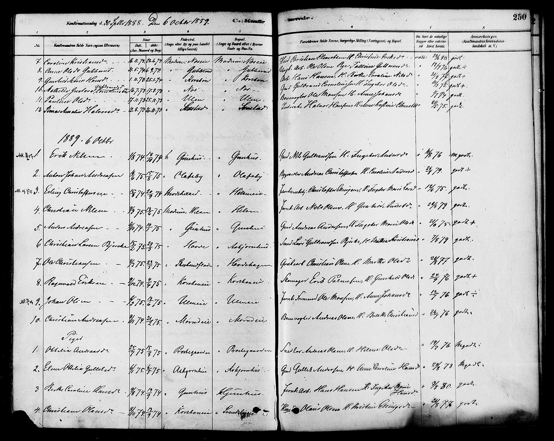 Modum kirkebøker, AV/SAKO-A-234/F/Fa/L0015: Parish register (official) no. 15 /2, 1877-1889, p. 250