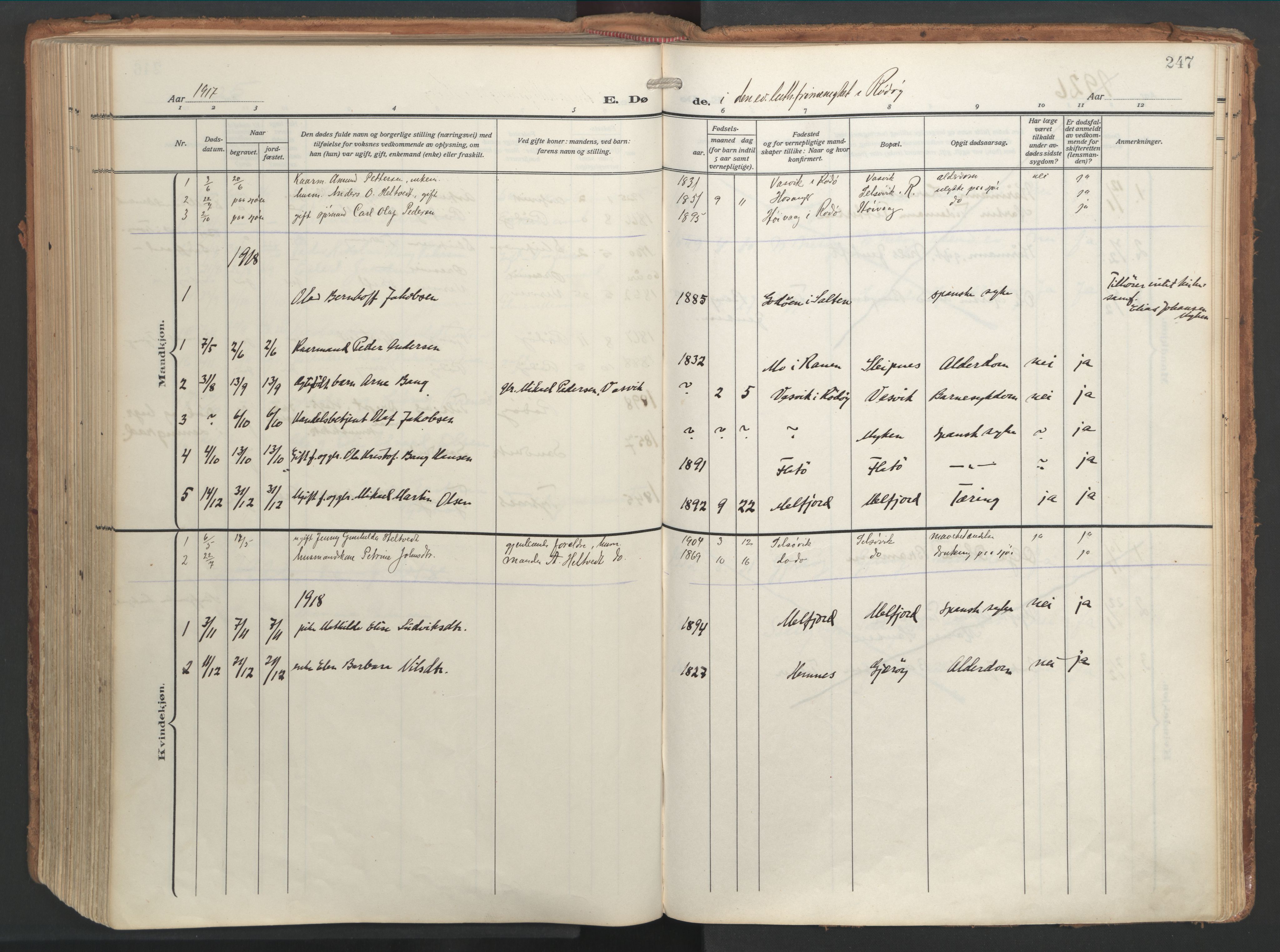 Ministerialprotokoller, klokkerbøker og fødselsregistre - Nordland, SAT/A-1459/841/L0614: Parish register (official) no. 841A17, 1911-1925, p. 247