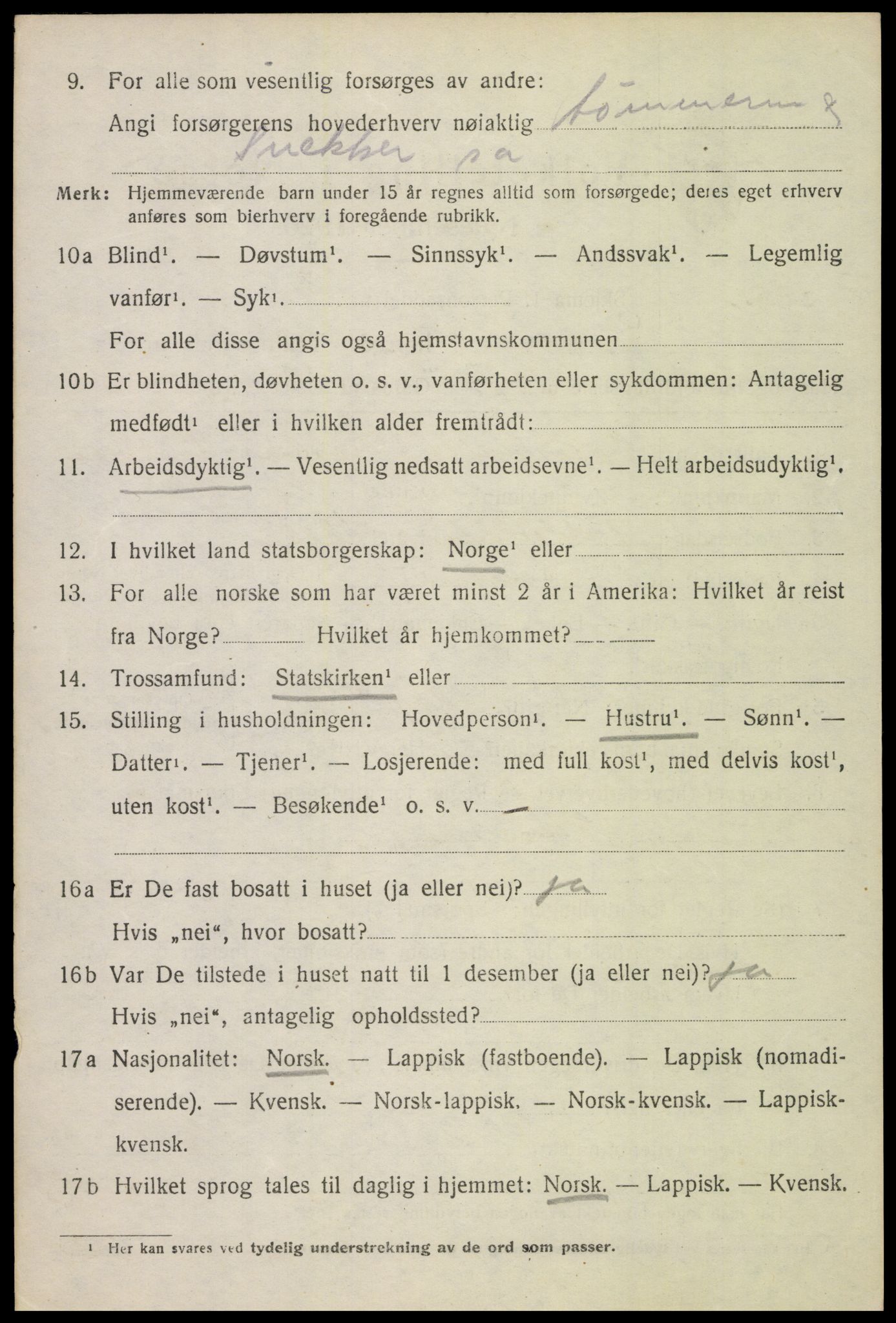 SAT, 1920 census for Borge, 1920, p. 4164