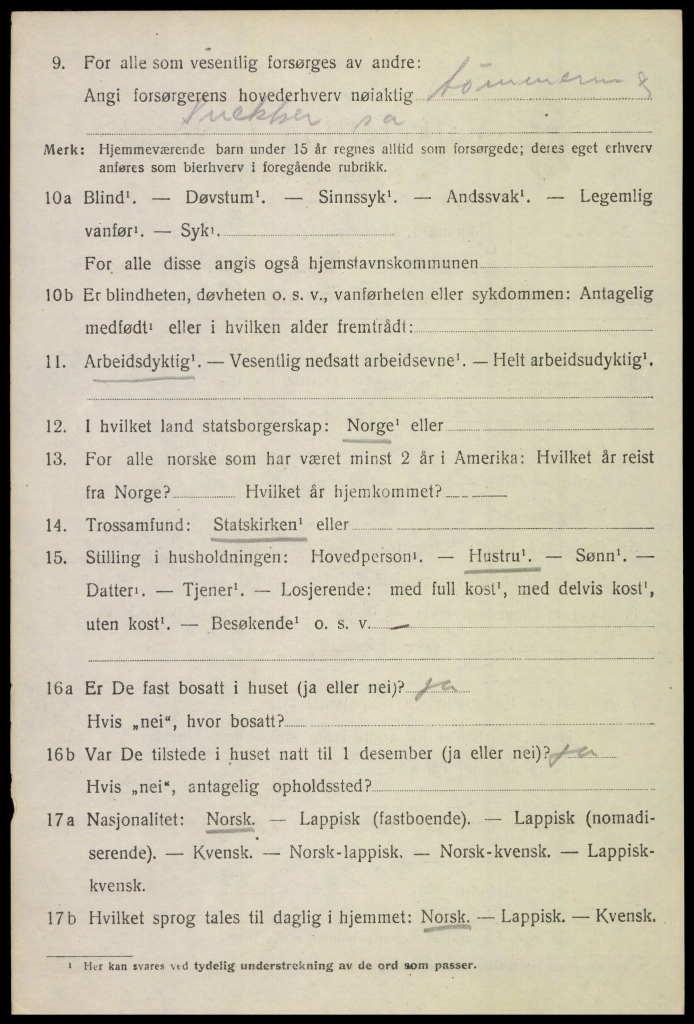 SAT, 1920 census for Borge, 1920, p. 4164