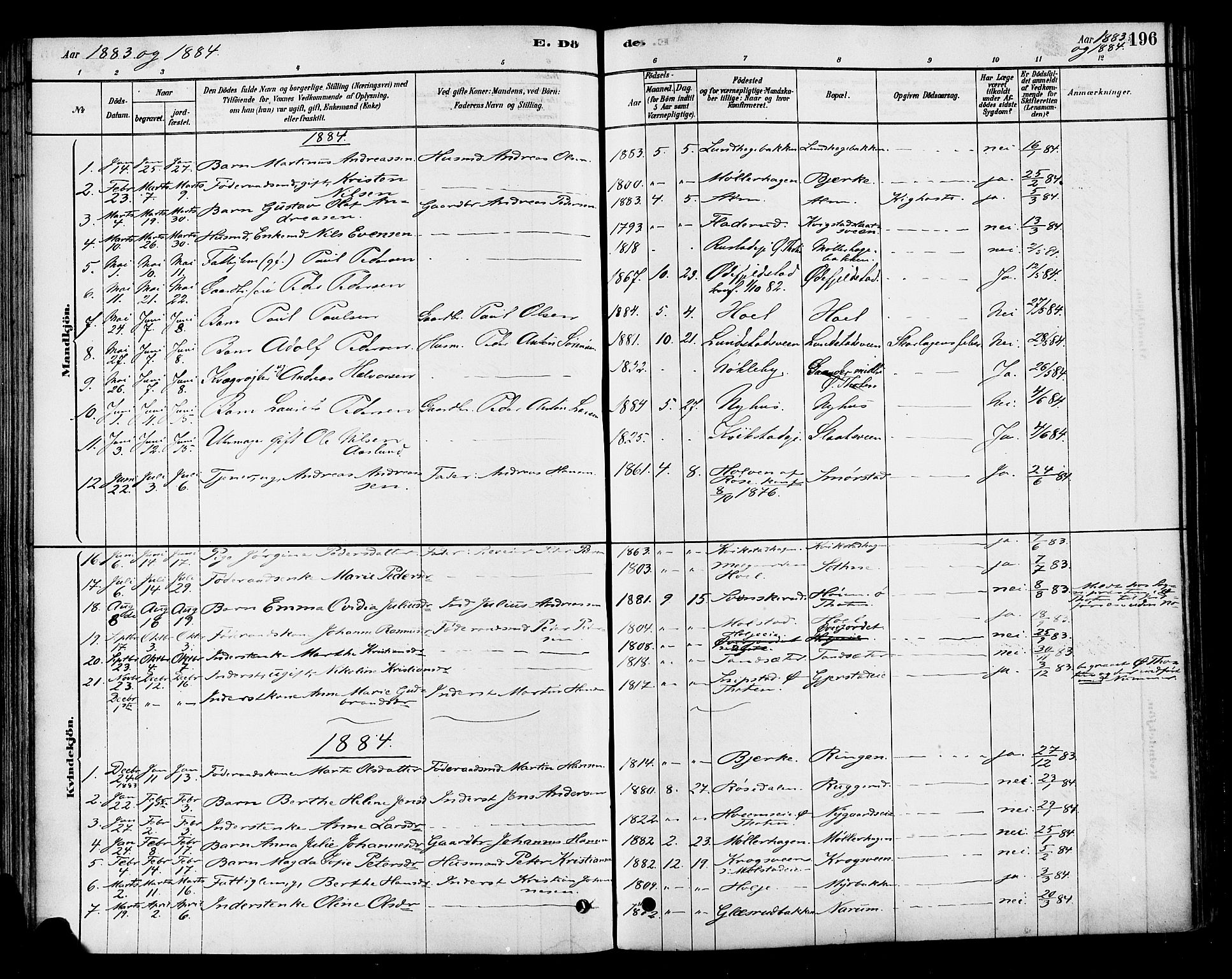 Vestre Toten prestekontor, SAH/PREST-108/H/Ha/Haa/L0010: Parish register (official) no. 10, 1878-1894, p. 196