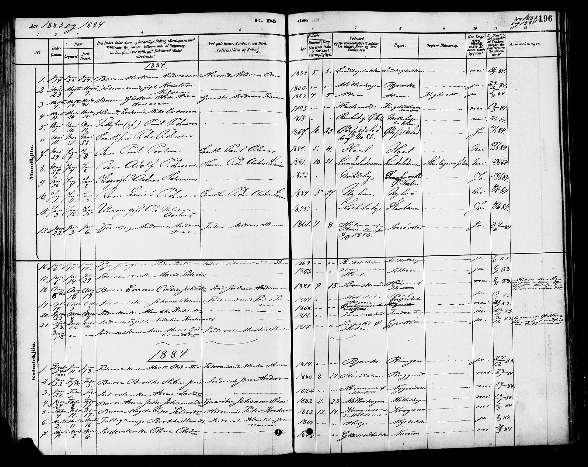 Vestre Toten prestekontor, AV/SAH-PREST-108/H/Ha/Haa/L0010: Parish register (official) no. 10, 1878-1894, p. 196