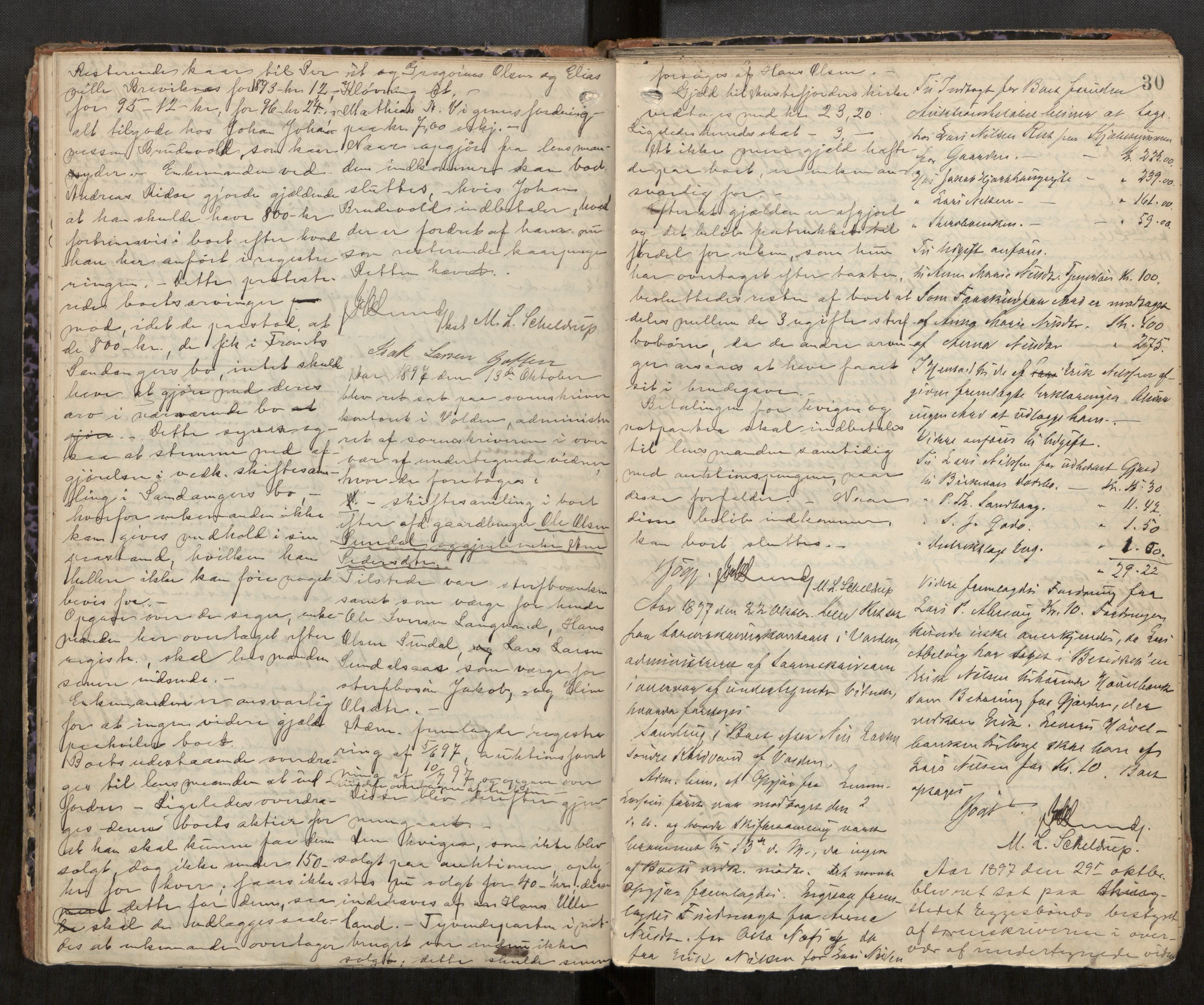 Søre Sunnmøre sorenskriveri, AV/SAT-A-4122/1/3/3B/L0007: Skiftebehandlings- / Skifteforhandlingsprotokollar, 1893-1902, p. 30
