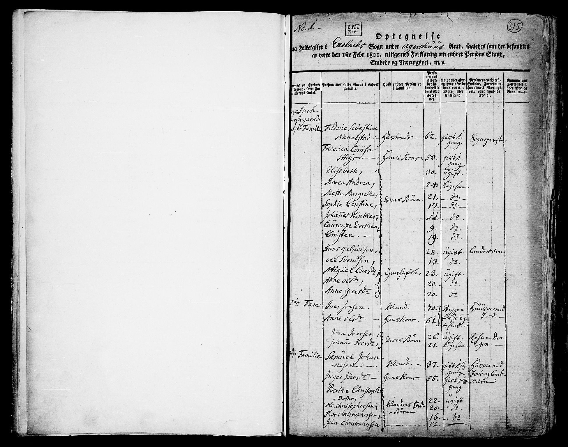 RA, 1801 census for 0229P Enebakk, 1801, p. 315a