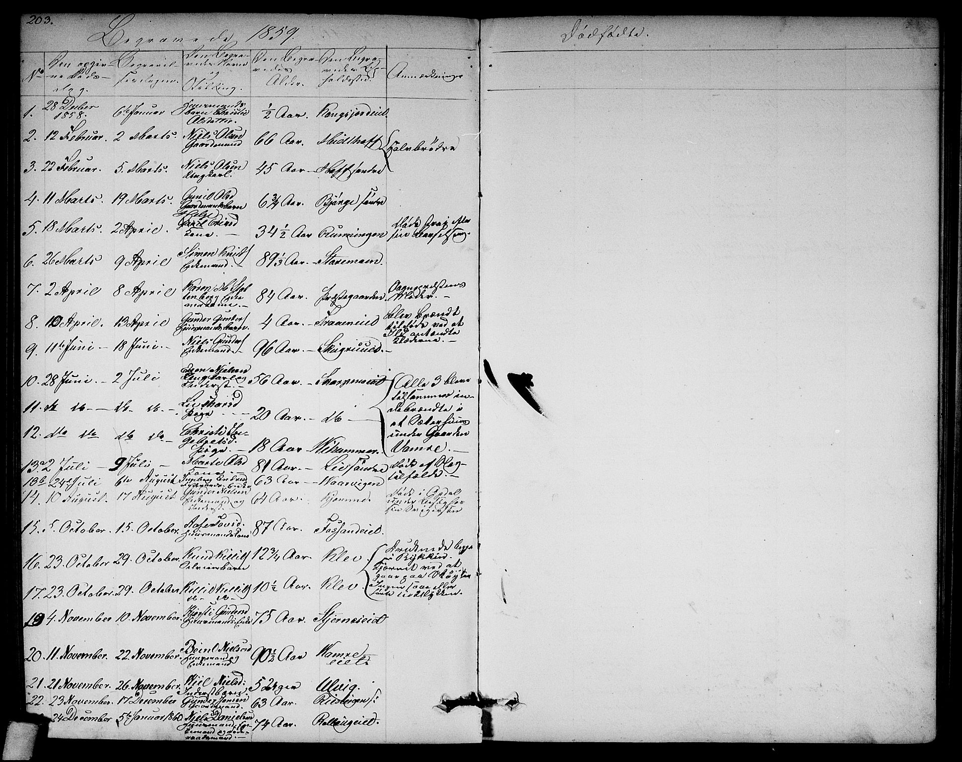 Rollag kirkebøker, SAKO/A-240/G/Ga/L0003: Parish register (copy) no. I 3, 1856-1887, p. 203