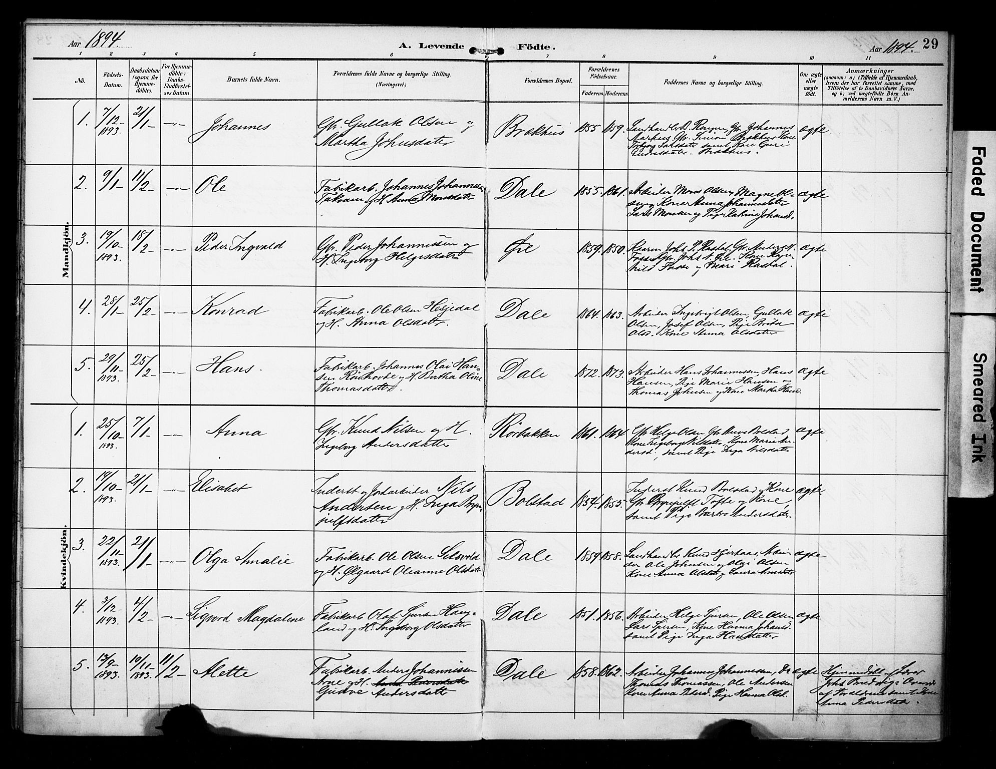 Evanger sokneprestembete, AV/SAB-A-99924: Parish register (official) no. A 2, 1892-1899, p. 29