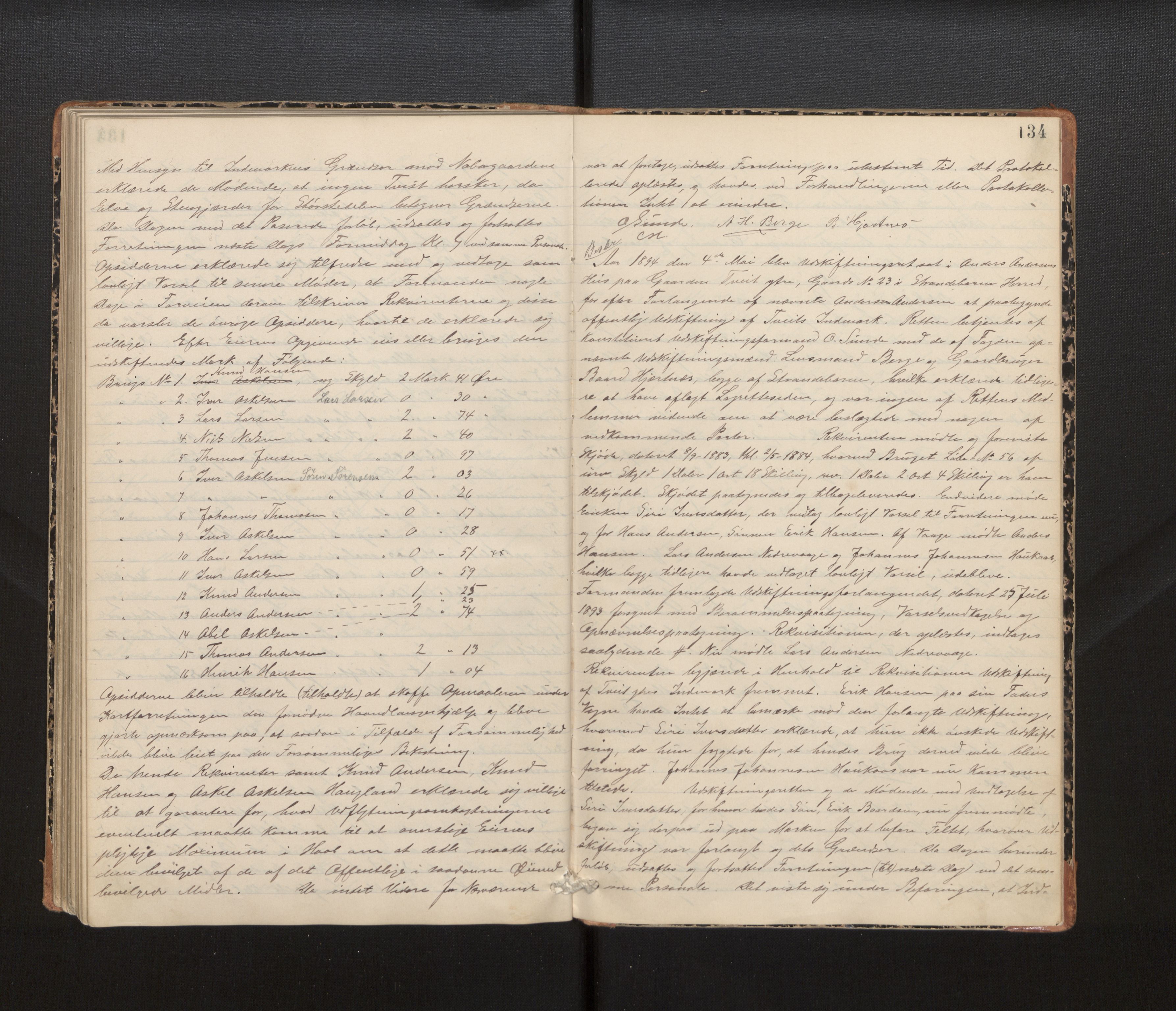 Hordaland jordskiftedøme - IV Hardanger jordskiftedistrikt, AV/SAB-A-7101/A/Aa/L0013: Forhandlingsprotokoll, 1890-1894, p. 133b-134a
