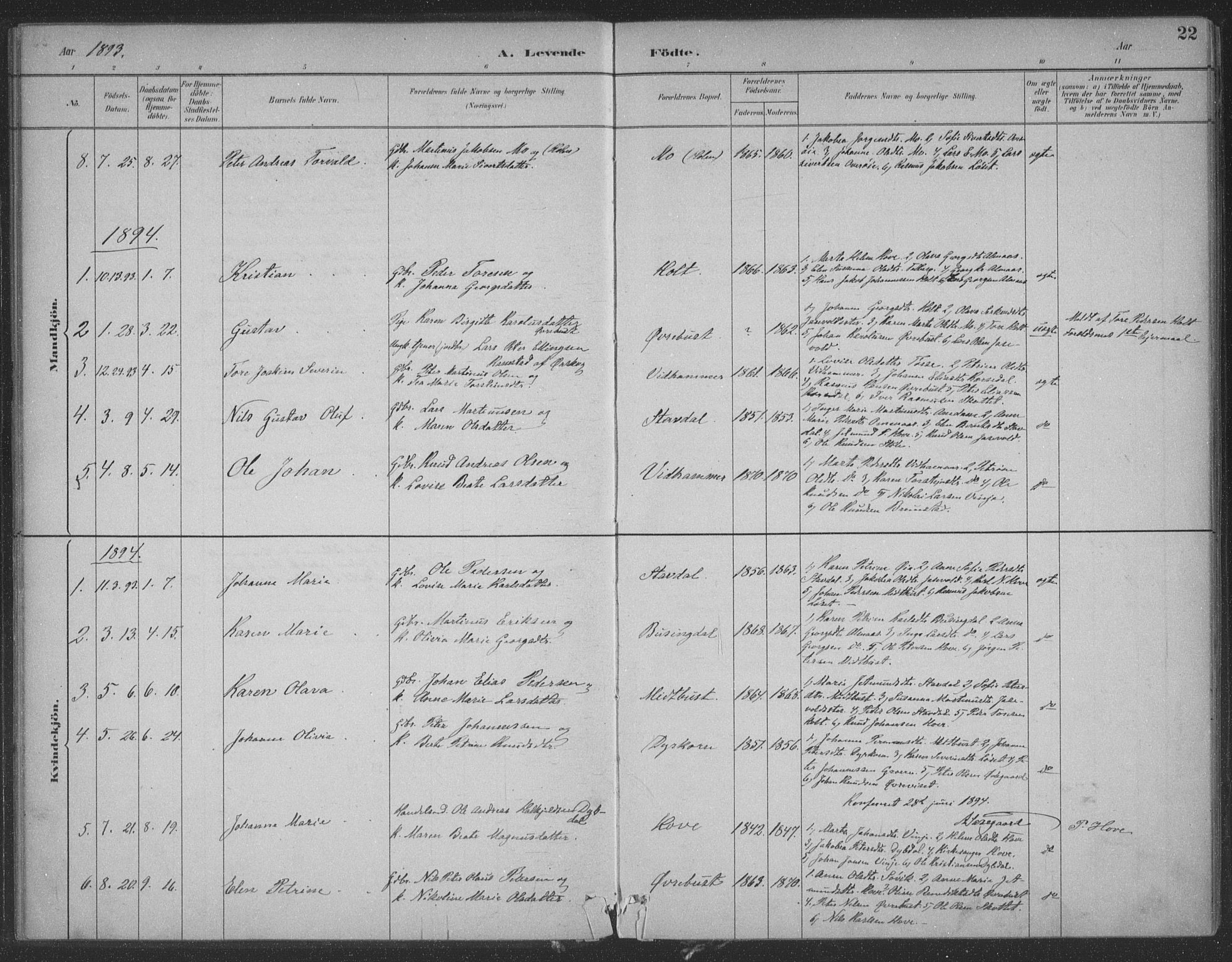 Ministerialprotokoller, klokkerbøker og fødselsregistre - Møre og Romsdal, SAT/A-1454/521/L0299: Parish register (official) no. 521A01, 1882-1907, p. 22