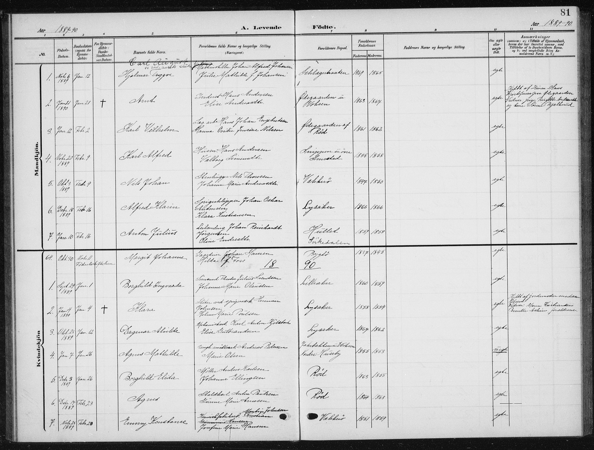 Vestre Aker prestekontor Kirkebøker, AV/SAO-A-10025/F/Fb/L0001: Parish register (official) no. II 1, 1880-1906, p. 81