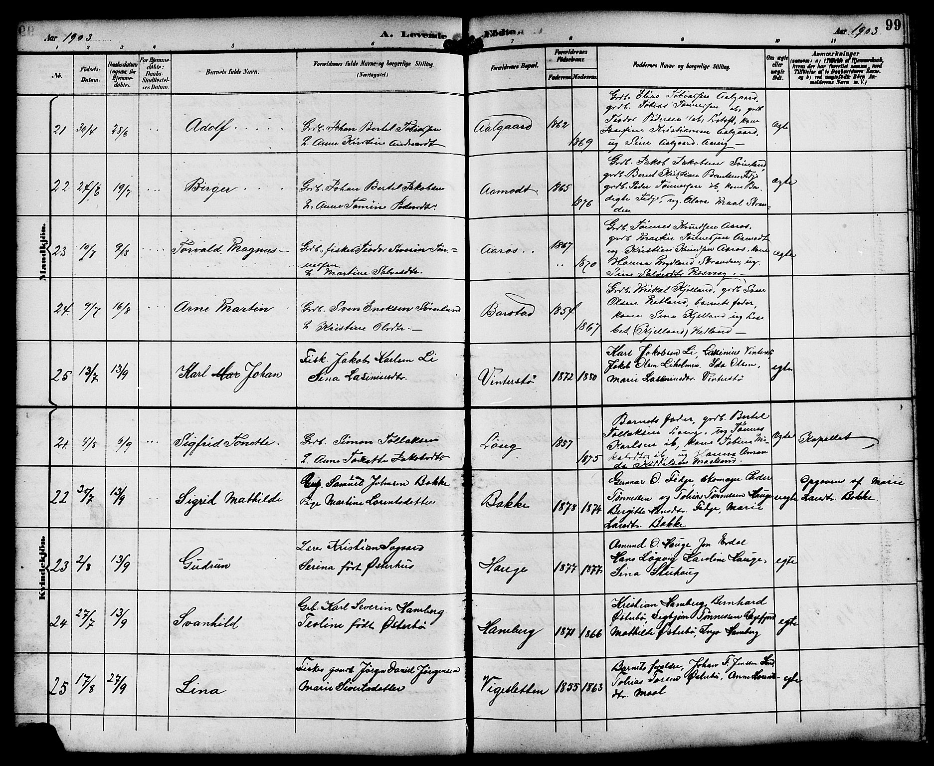 Sokndal sokneprestkontor, AV/SAST-A-101808: Parish register (copy) no. B 6, 1892-1907, p. 99