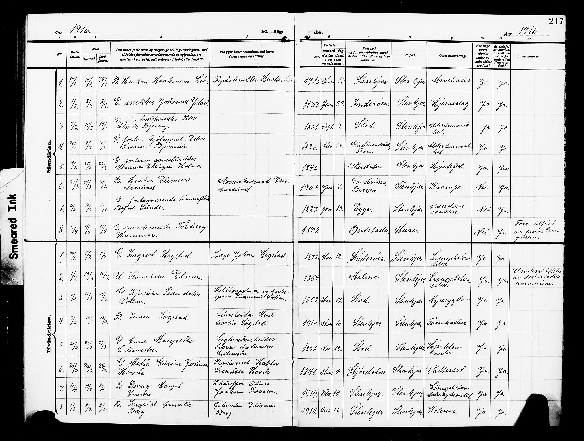 Ministerialprotokoller, klokkerbøker og fødselsregistre - Nord-Trøndelag, AV/SAT-A-1458/739/L0376: Parish register (copy) no. 739C04, 1908-1917, p. 217