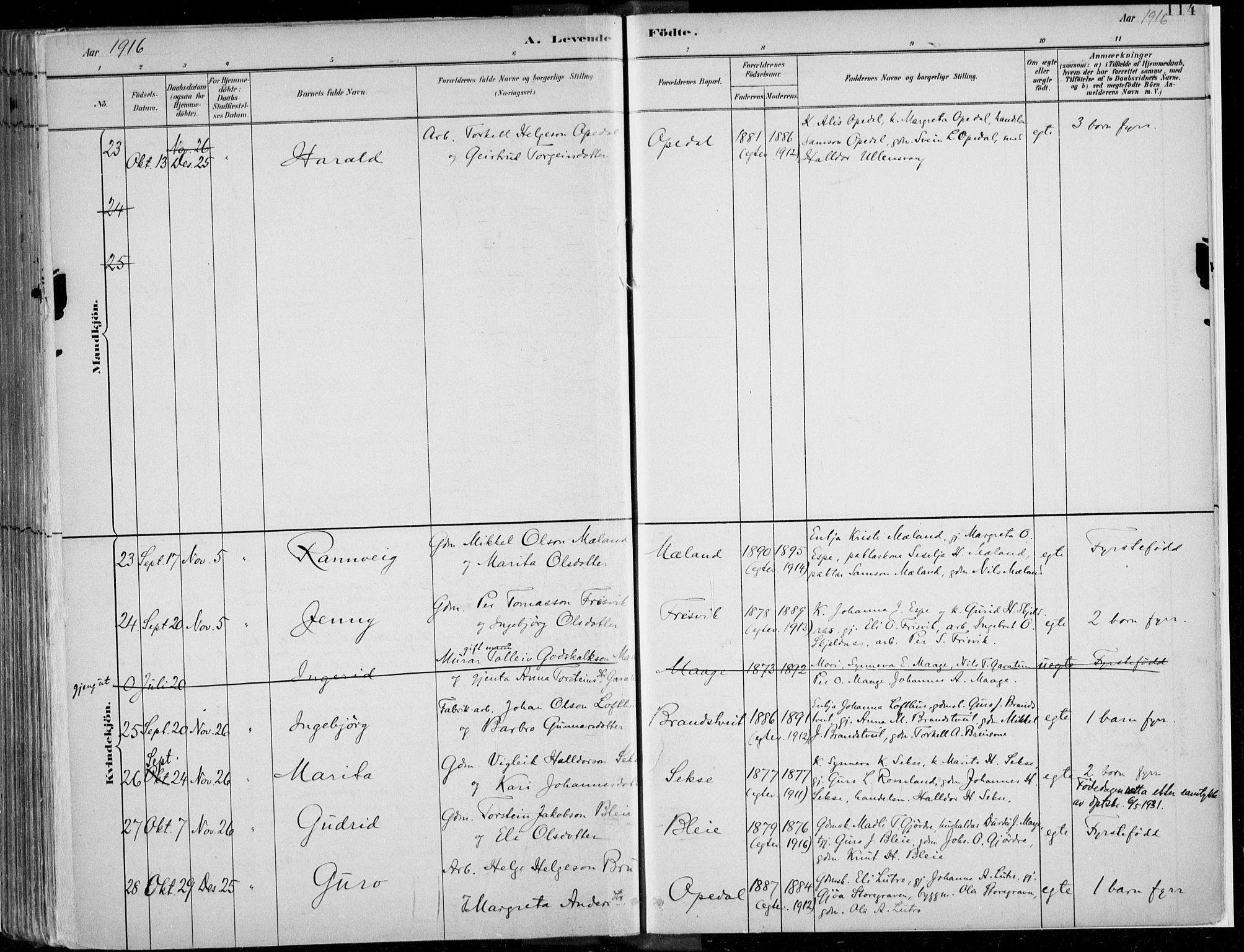 Ullensvang sokneprestembete, AV/SAB-A-78701/H/Haa: Parish register (official) no. B  1, 1882-1918, p. 114