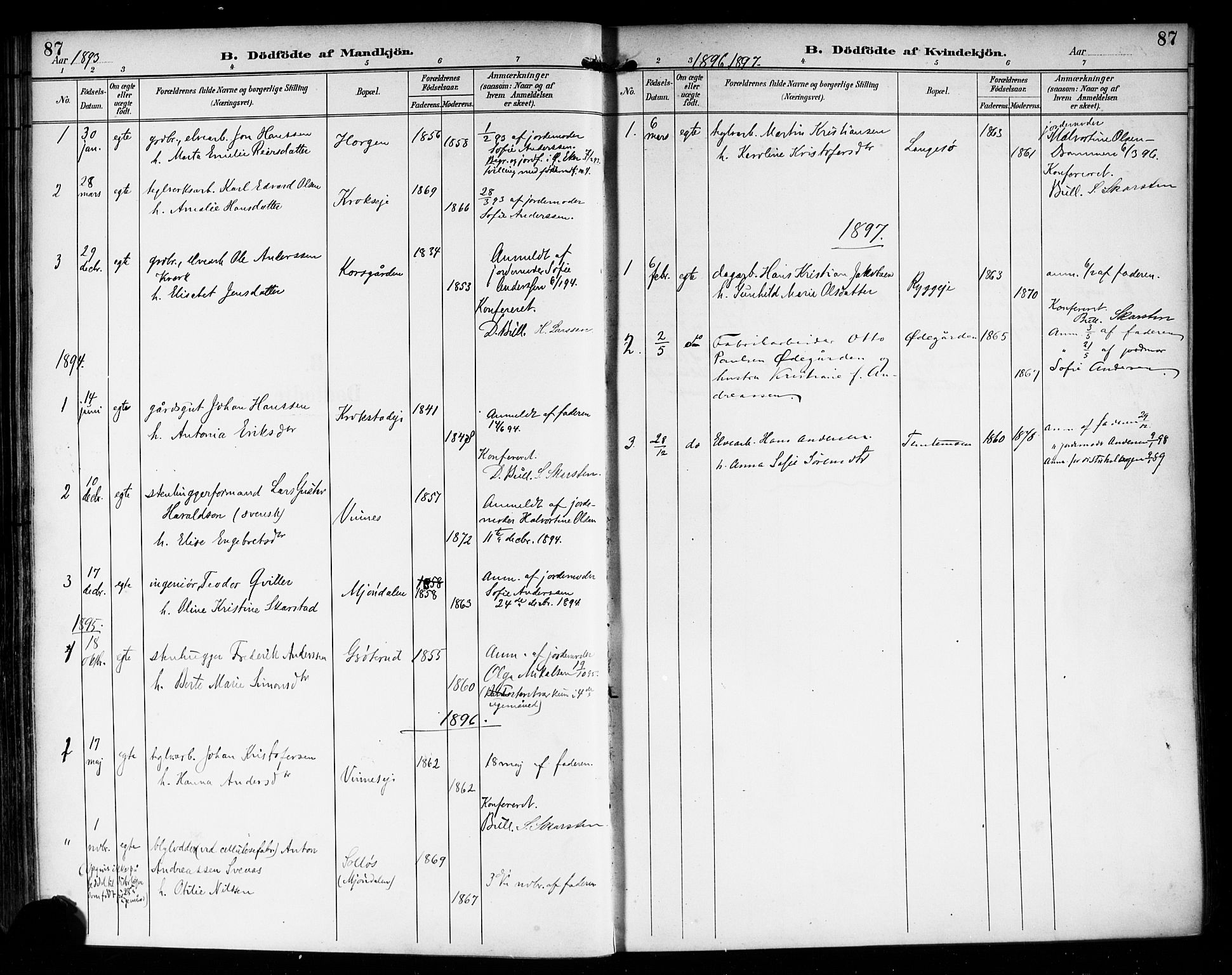 Nedre Eiker kirkebøker, AV/SAKO-A-612/F/Fa/L0004: Parish register (official) no. 4, 1893-1898, p. 87