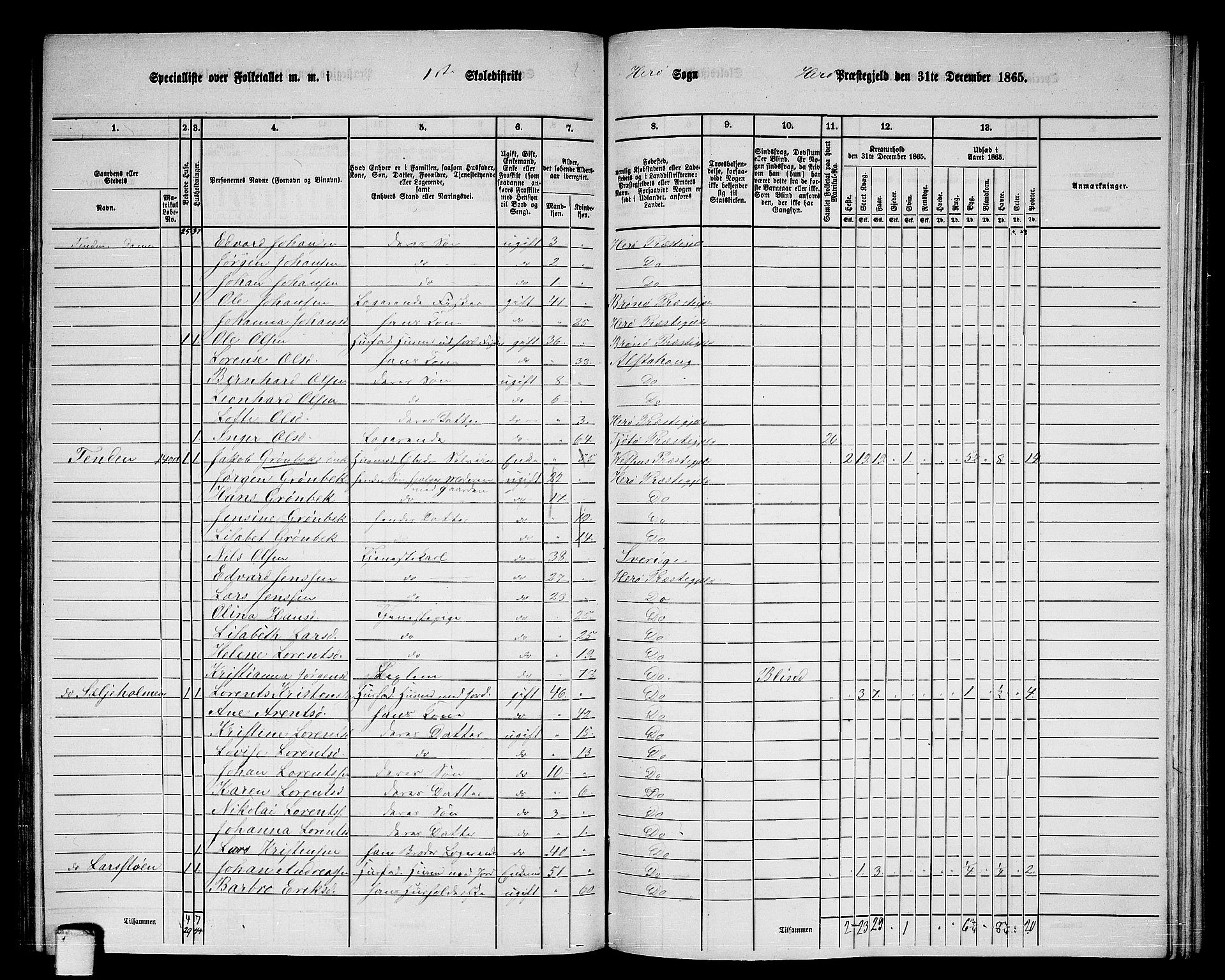 RA, 1865 census for Herøy, 1865, p. 13