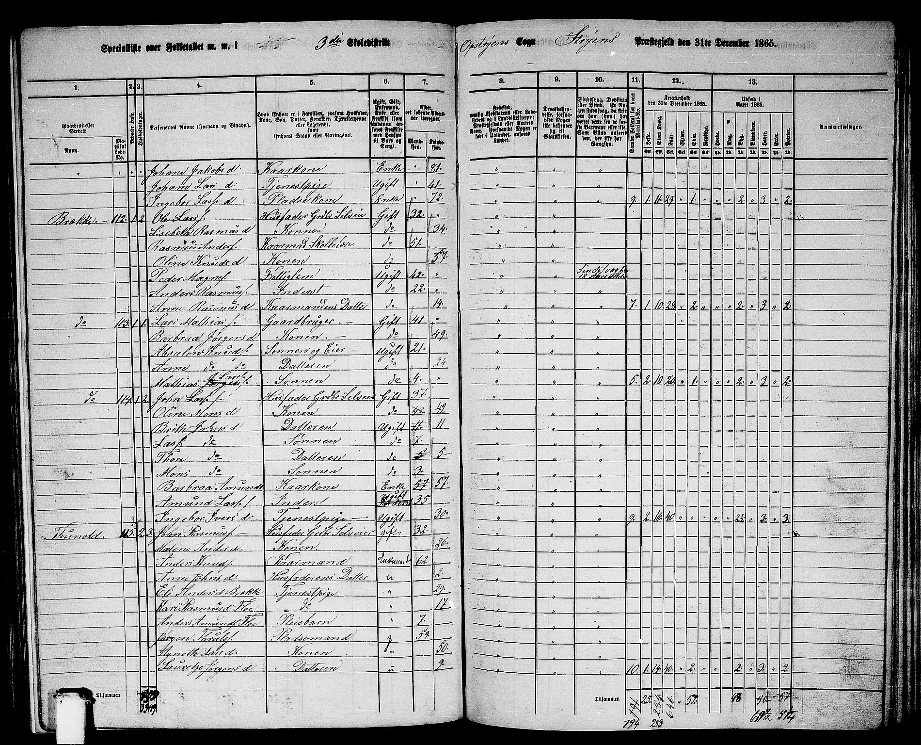 RA, 1865 census for Stryn, 1865, p. 12