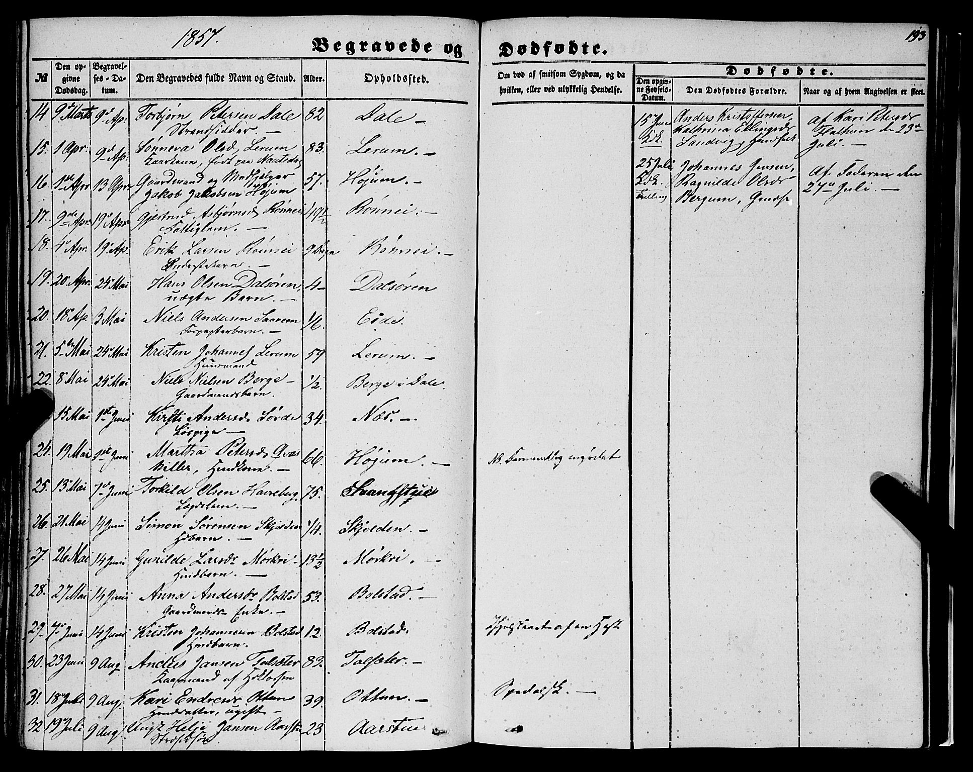 Luster sokneprestembete, SAB/A-81101/H/Haa/Haaa/L0007: Parish register (official) no. A 7, 1849-1859, p. 193
