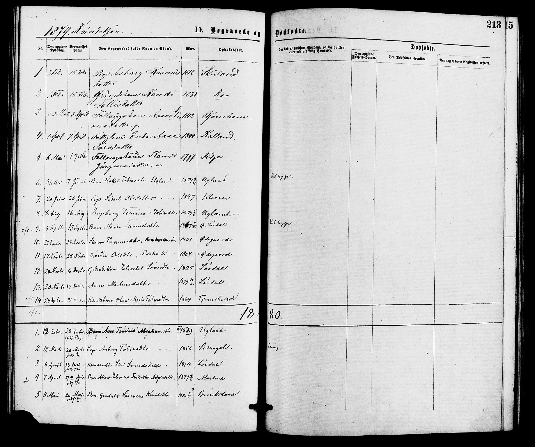 Holum sokneprestkontor, AV/SAK-1111-0022/F/Fa/Fab/L0006: Parish register (official) no. A 6, 1875-1886, p. 213