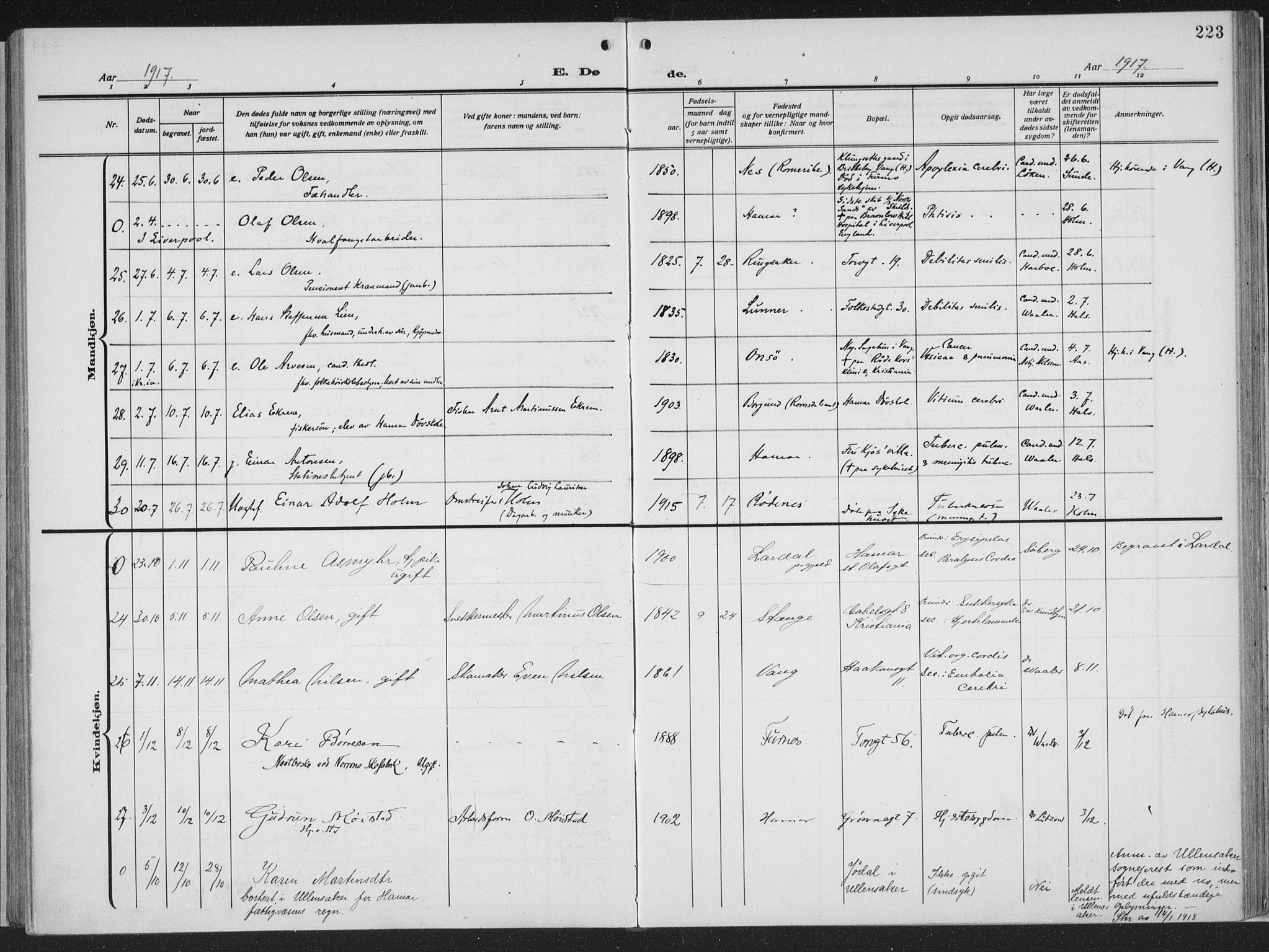 Hamar prestekontor, AV/SAH-DOMPH-002/H/Ha/Haa/L0002: Parish register (official) no. 2, 1915-1936, p. 223