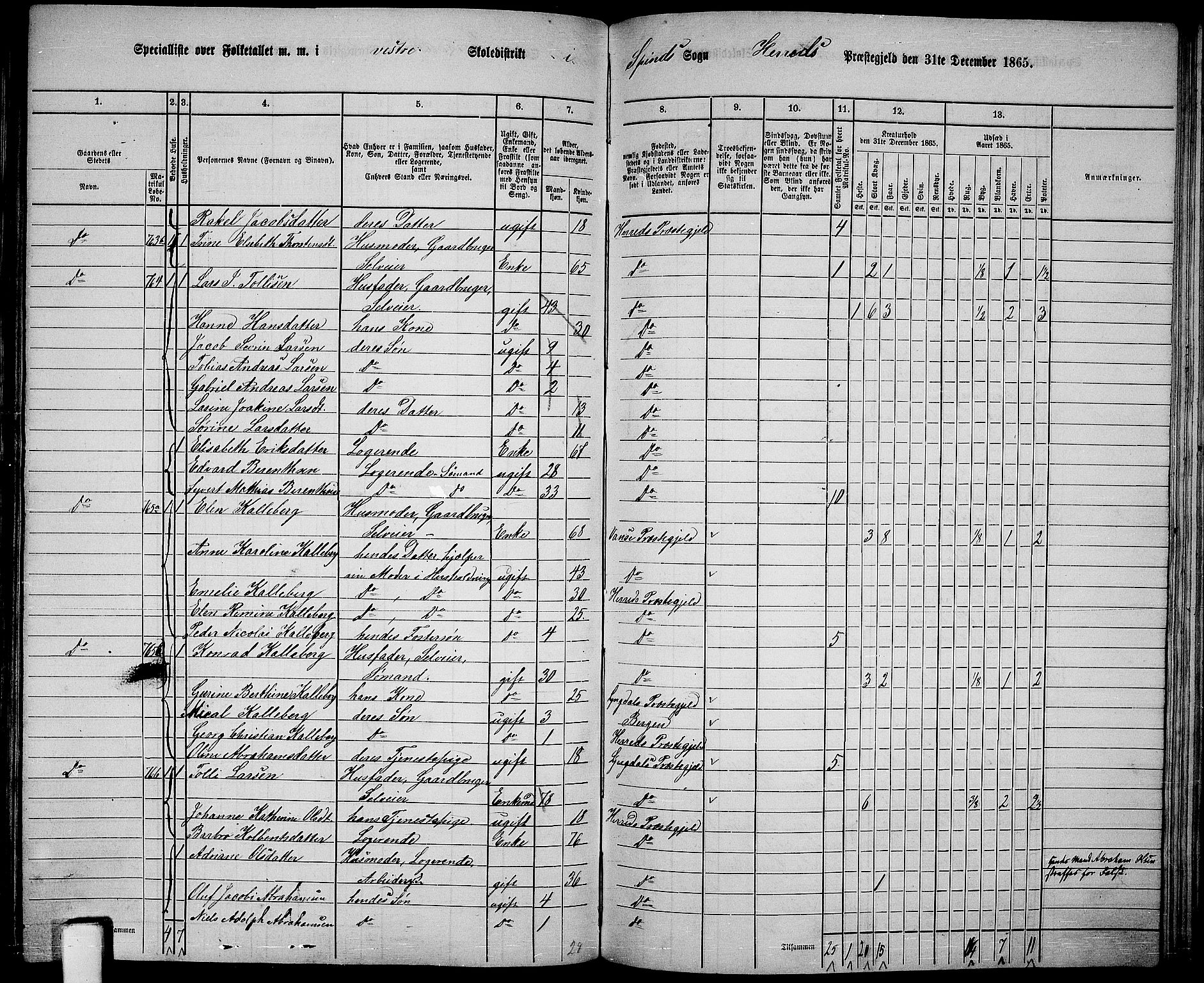 RA, 1865 census for Herad, 1865, p. 52
