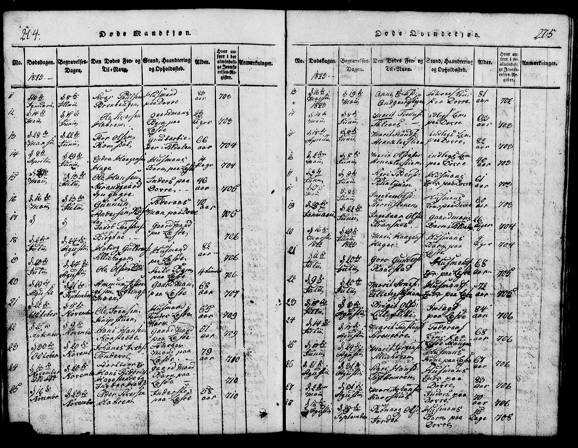 Lesja prestekontor, SAH/PREST-068/H/Ha/Hab/L0001: Parish register (copy) no. 1, 1820-1831, p. 204-205