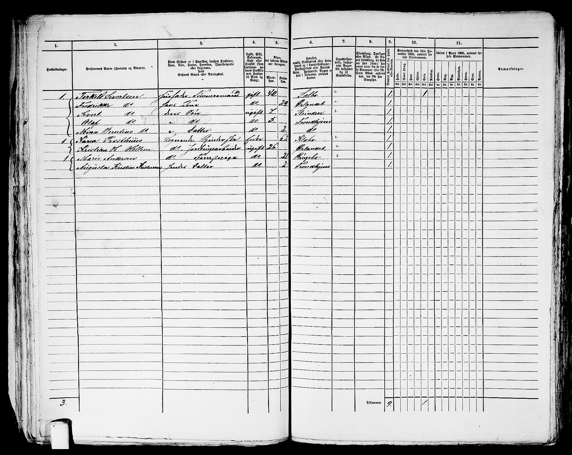 RA, 1865 census for Trondheim, 1865, p. 2720