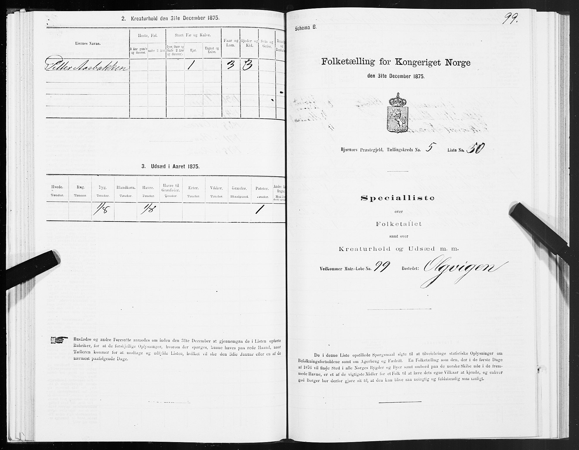 SAT, 1875 census for 1632P Bjørnør, 1875, p. 3099