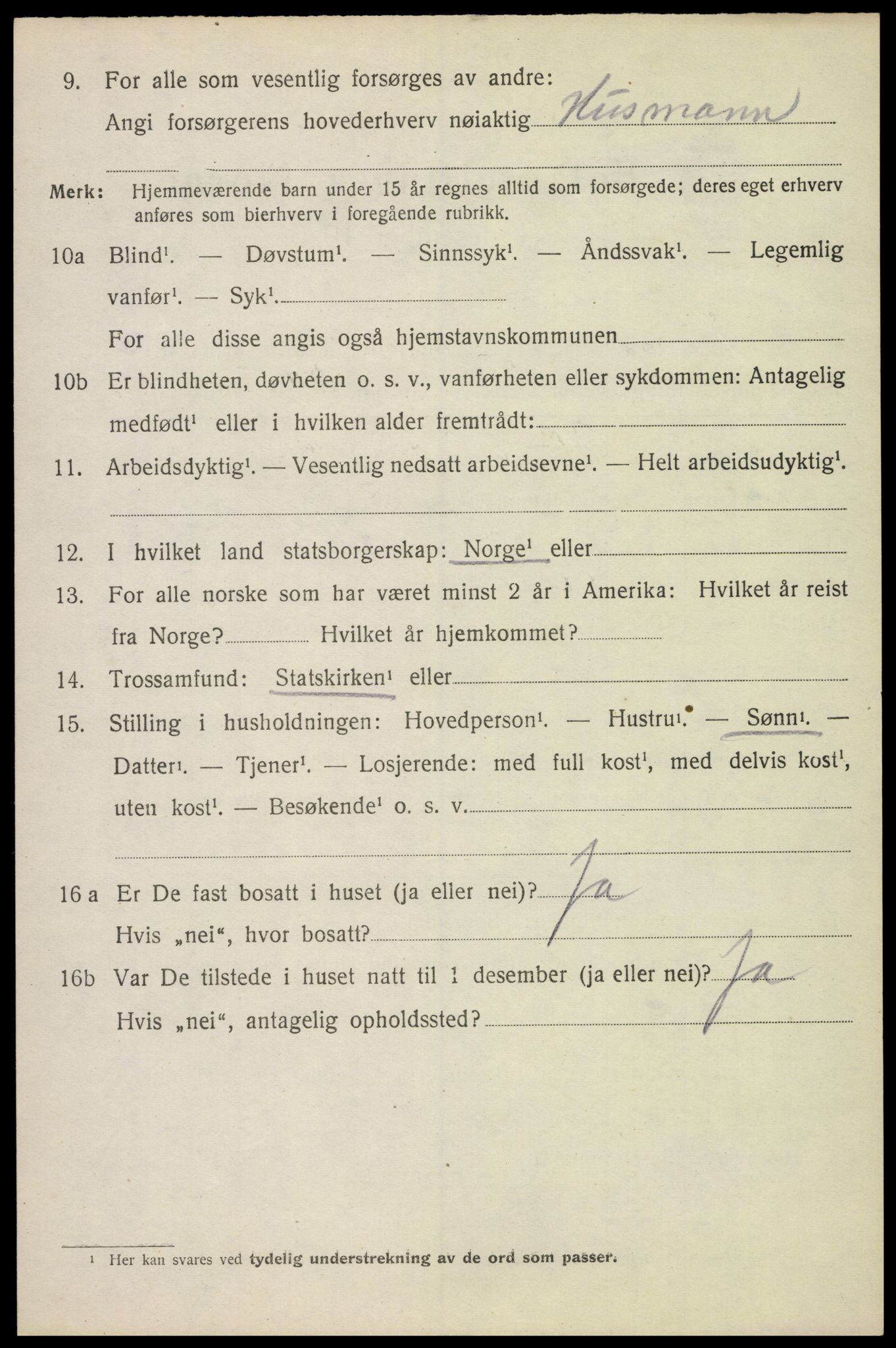 SAH, 1920 census for Furnes, 1920, p. 5158