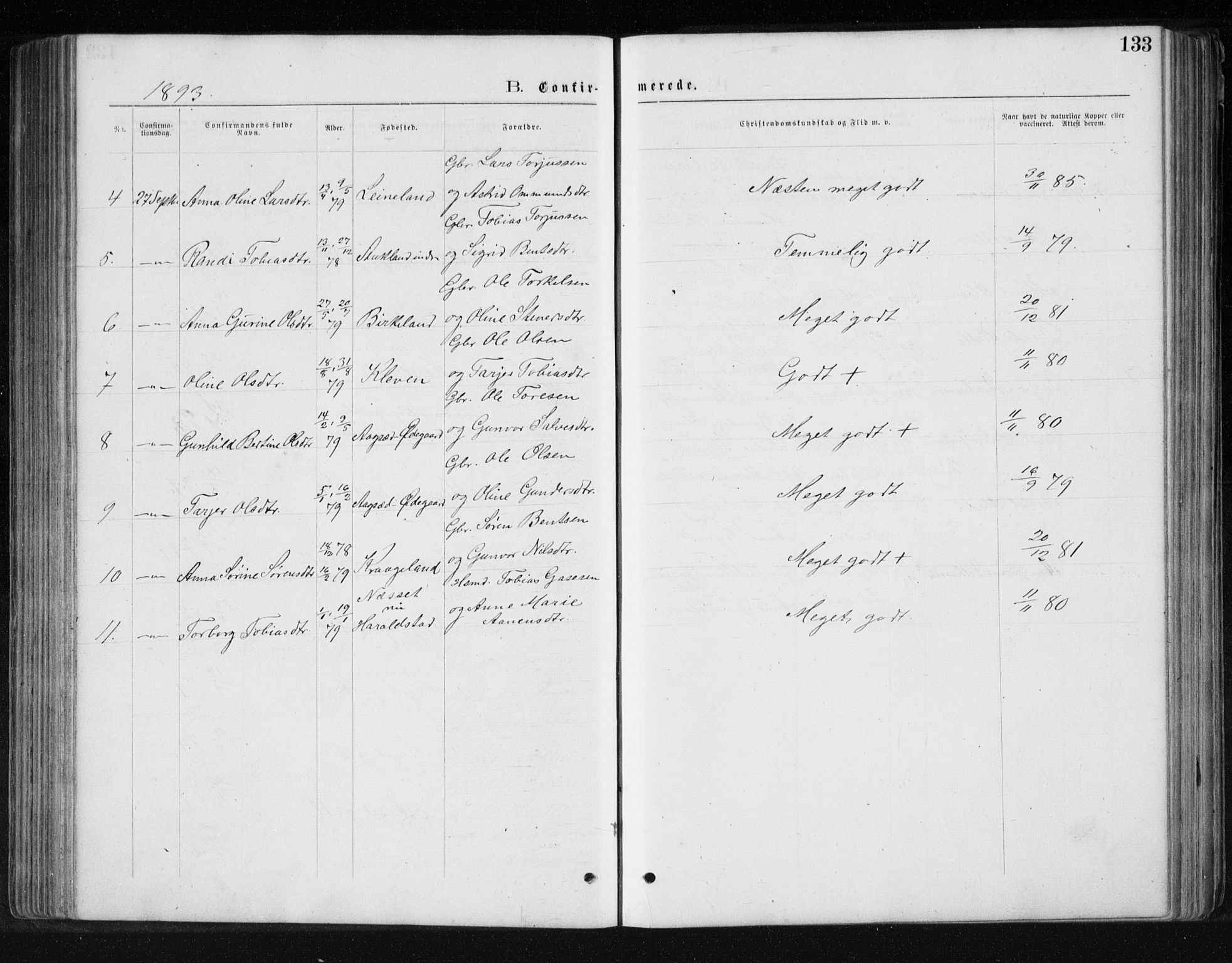Holum sokneprestkontor, SAK/1111-0022/F/Fb/Fbb/L0003: Parish register (copy) no. B 3, 1875-1898, p. 133