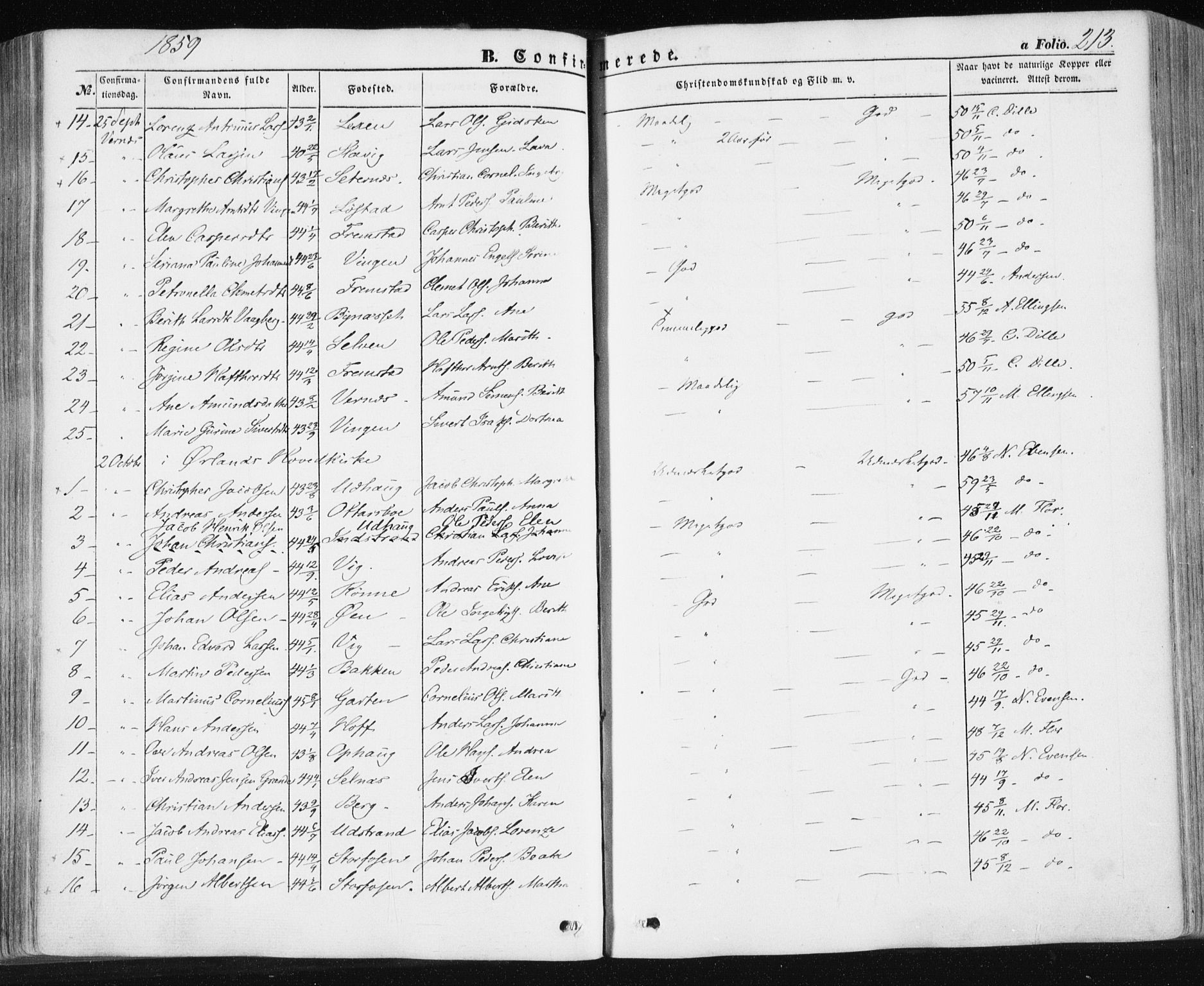Ministerialprotokoller, klokkerbøker og fødselsregistre - Sør-Trøndelag, SAT/A-1456/659/L0737: Parish register (official) no. 659A07, 1857-1875, p. 213