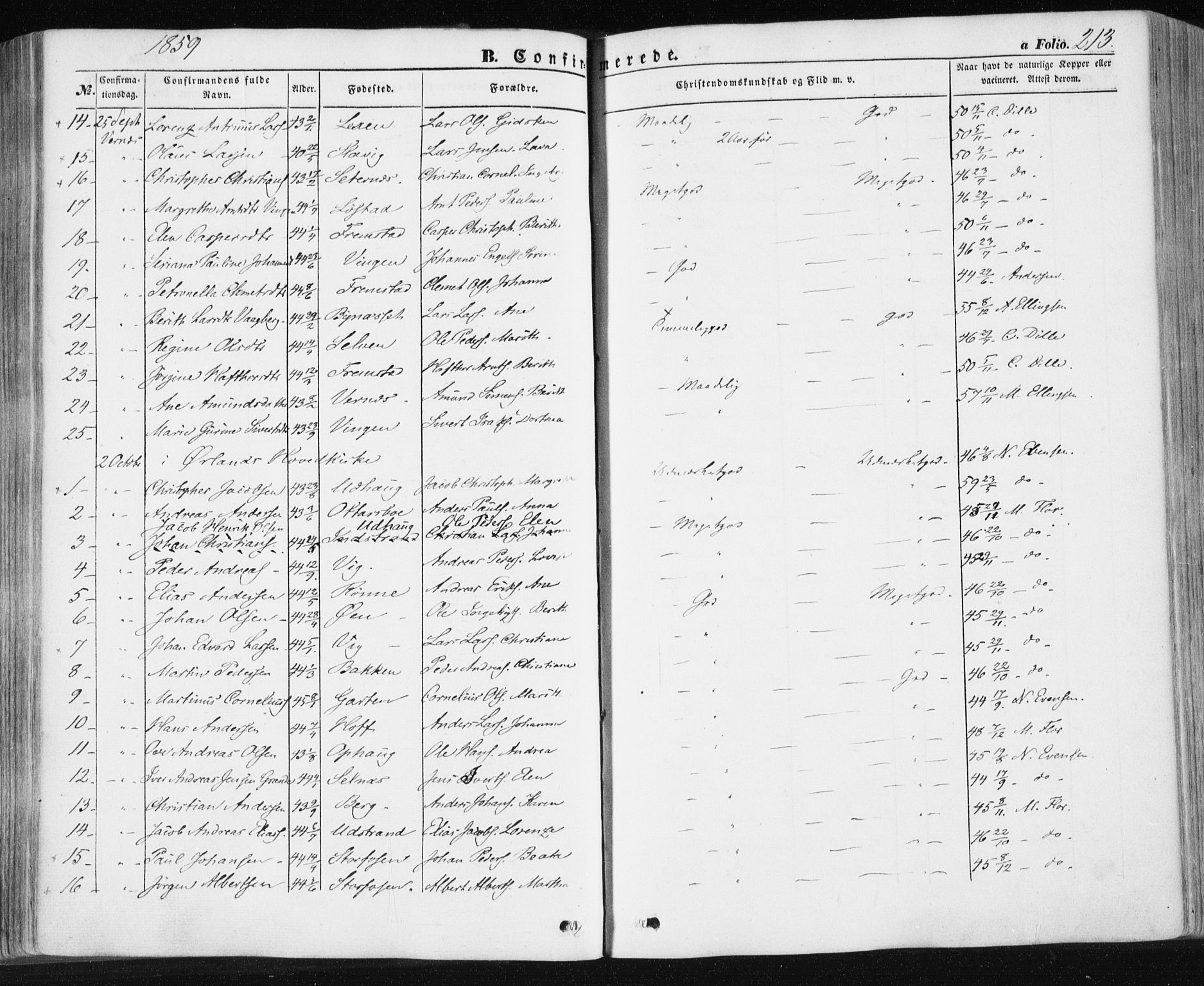 Ministerialprotokoller, klokkerbøker og fødselsregistre - Sør-Trøndelag, AV/SAT-A-1456/659/L0737: Parish register (official) no. 659A07, 1857-1875, p. 213