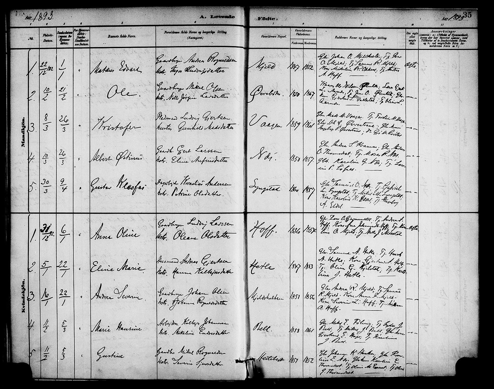 Gaular sokneprestembete, AV/SAB-A-80001/H/Haa: Parish register (official) no. D 1, 1882-1899, p. 35