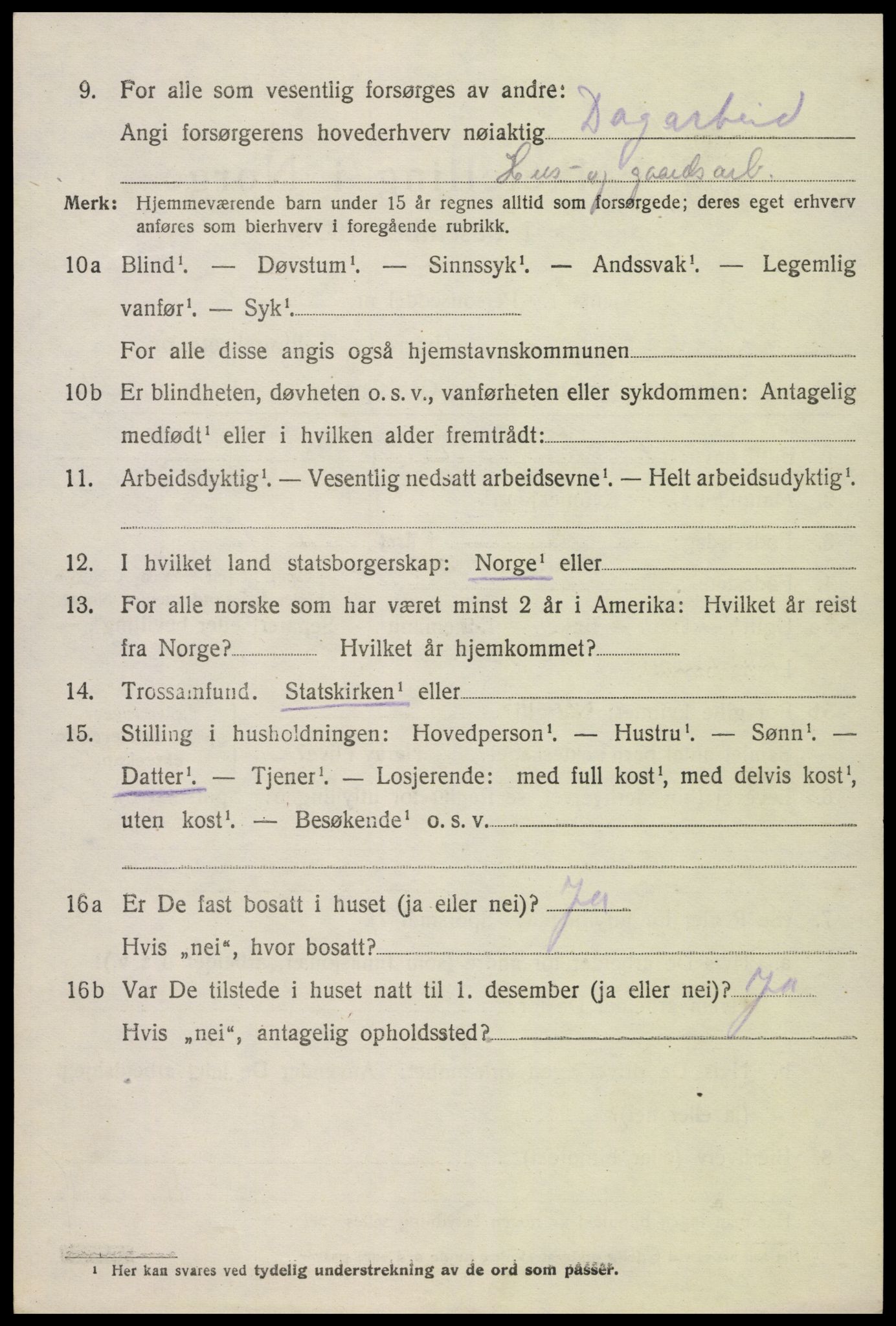 SAK, 1920 census for Hornnes, 1920, p. 924