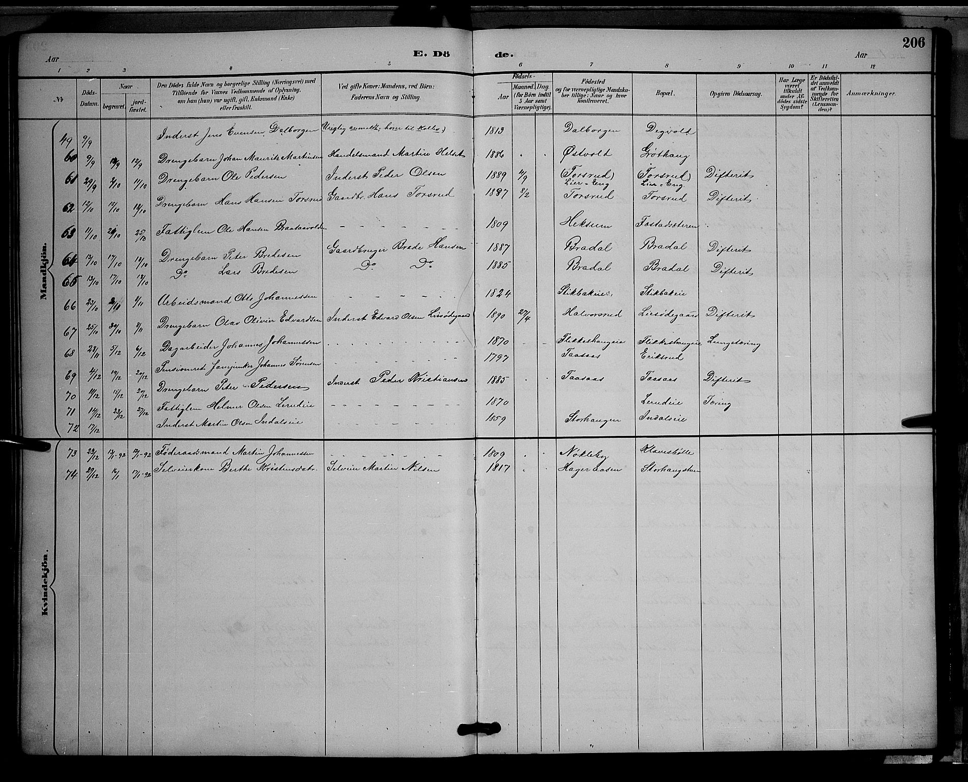 Vestre Toten prestekontor, SAH/PREST-108/H/Ha/Hab/L0009: Parish register (copy) no. 9, 1888-1900, p. 206